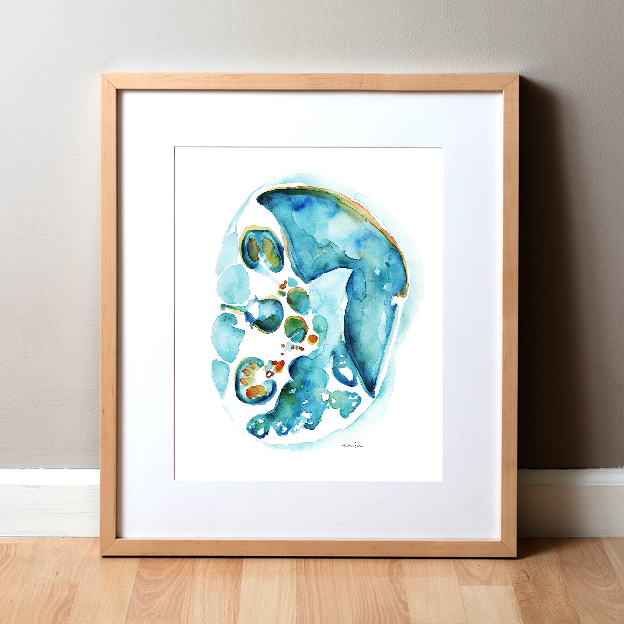 Abdomen Cross Section II Print | Lyon Road Art | Anatomy Art