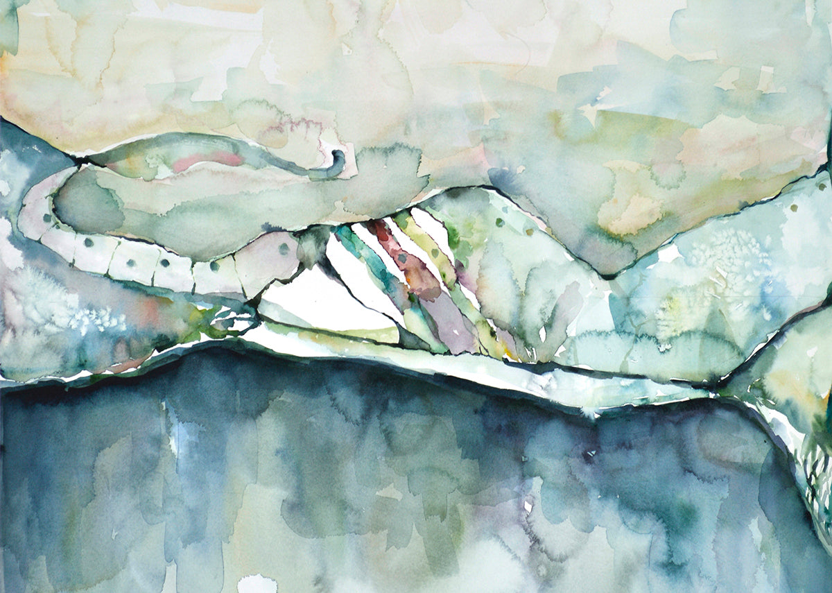 Reflections on the Senses