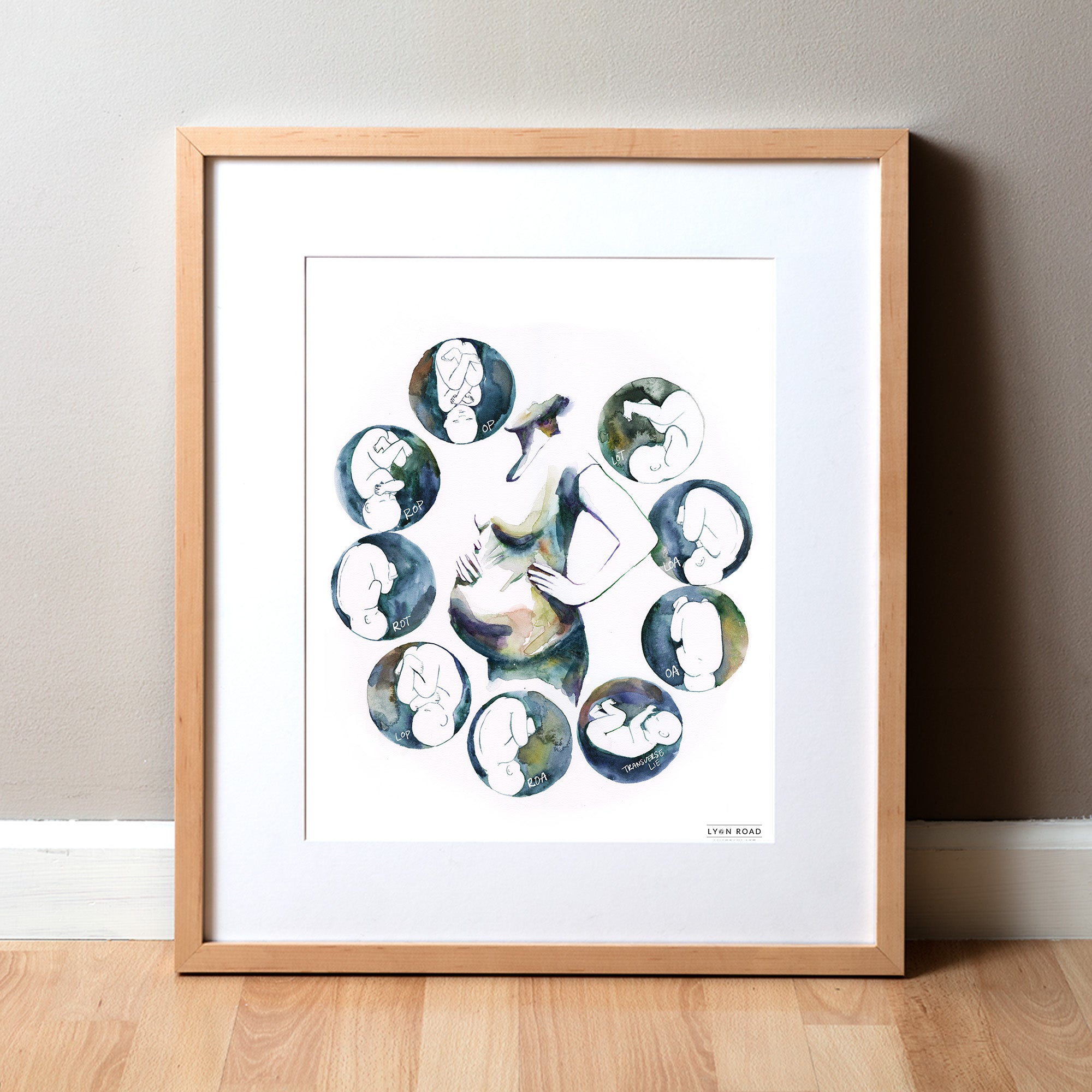 Fetal Compass Rose Watercolor Print