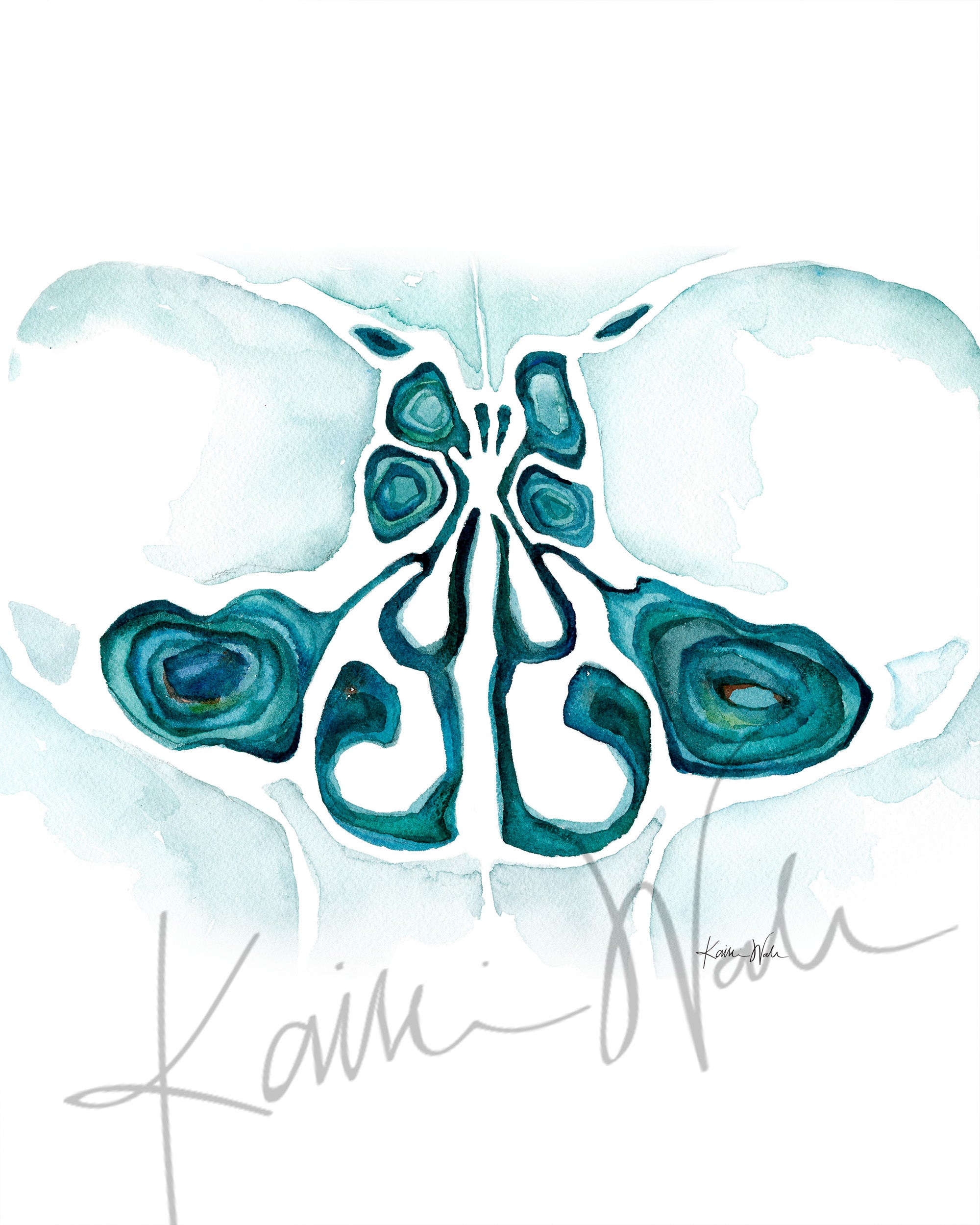 Coronal Sinuses Watercolor Print - Lyon Road Art