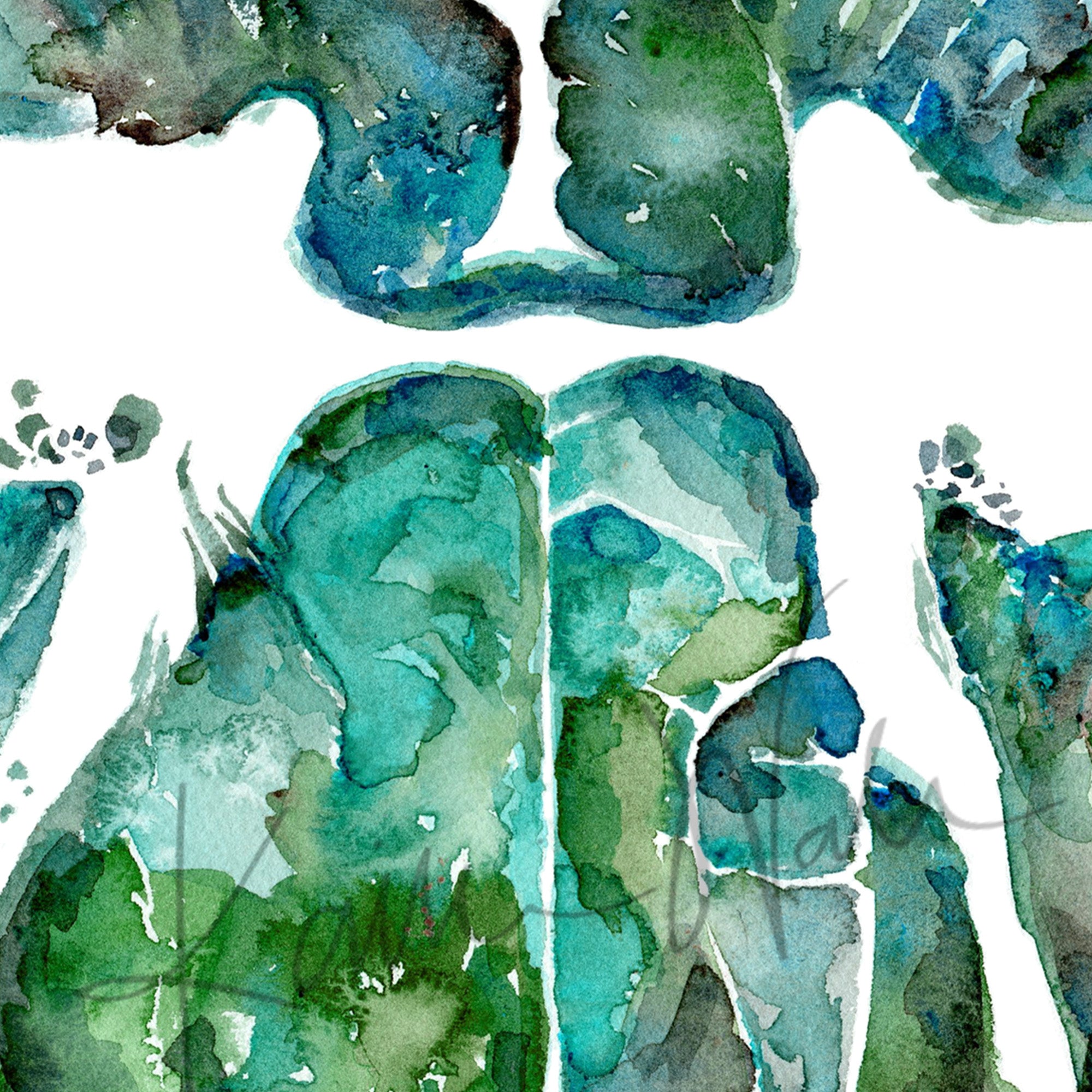 Cervical Spinal Cord Watercolor Print - Lyon Road Art