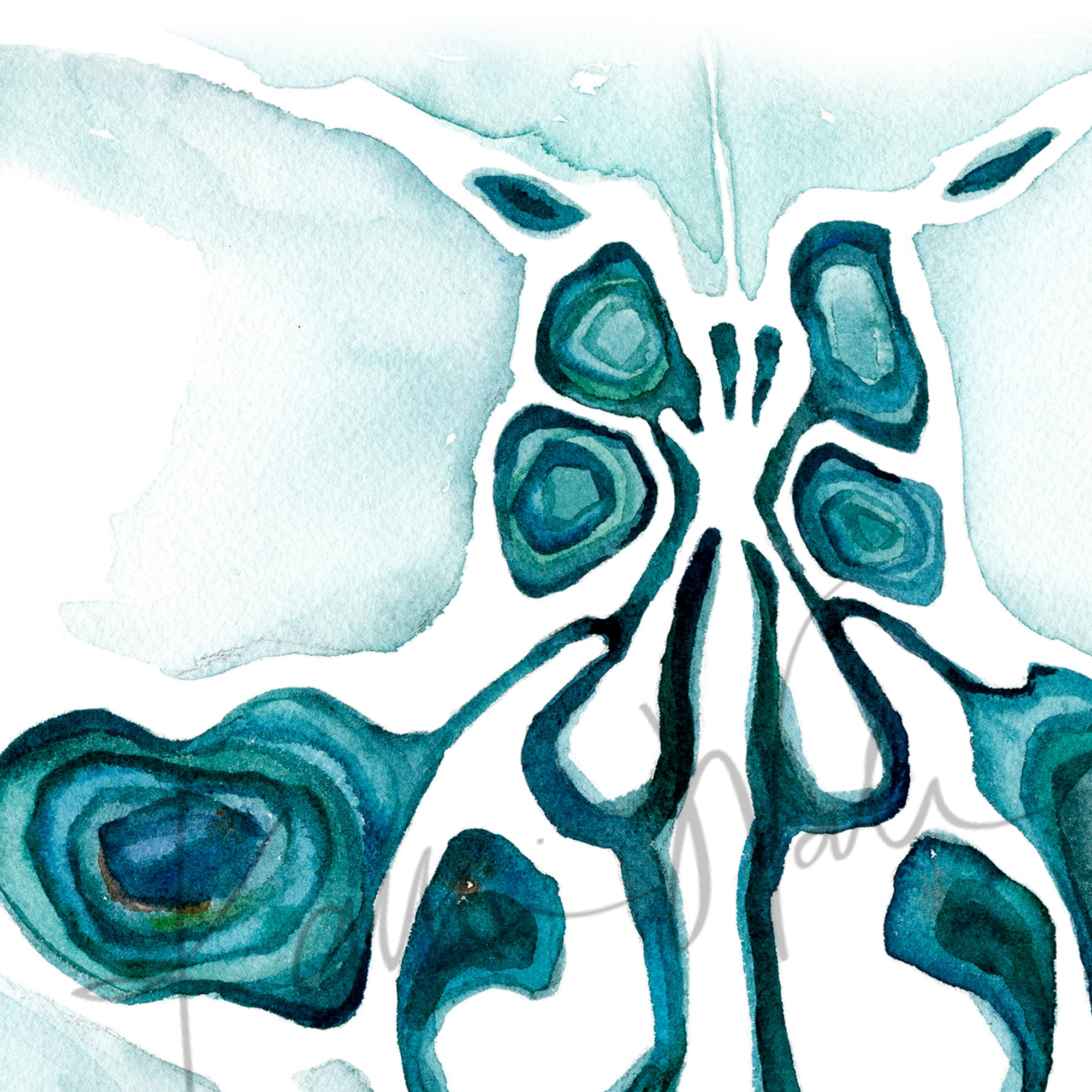 Coronal Sinuses Watercolor Print - Lyon Road Art