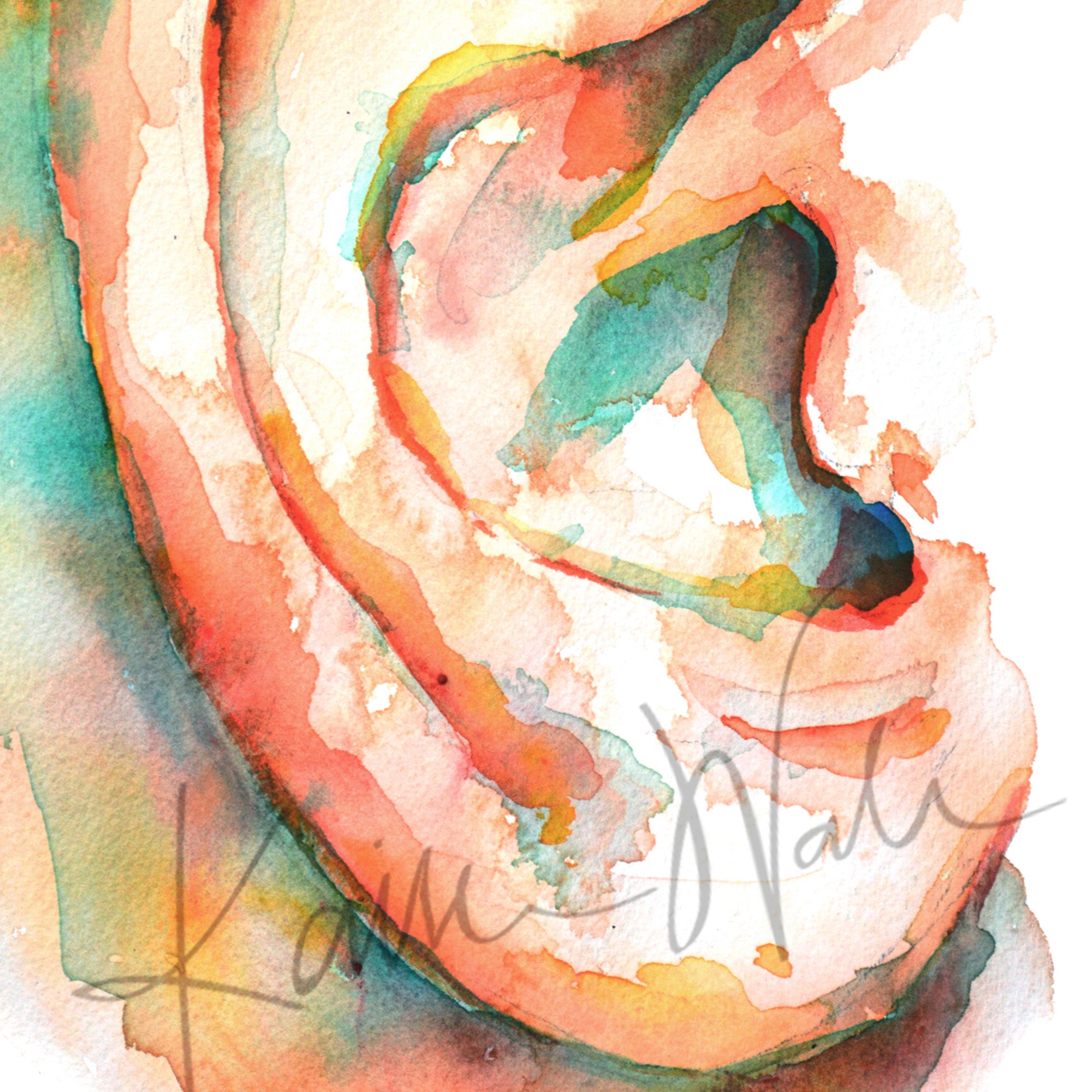 Ear Watercolor Print - Lyon Road Art