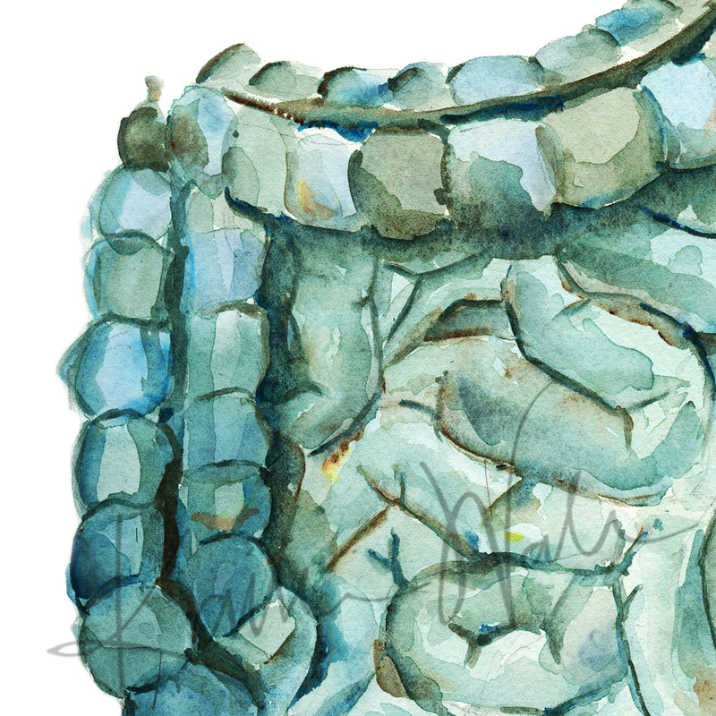 Intestines in Blue-Green Watercolor Print - Lyon Road Art