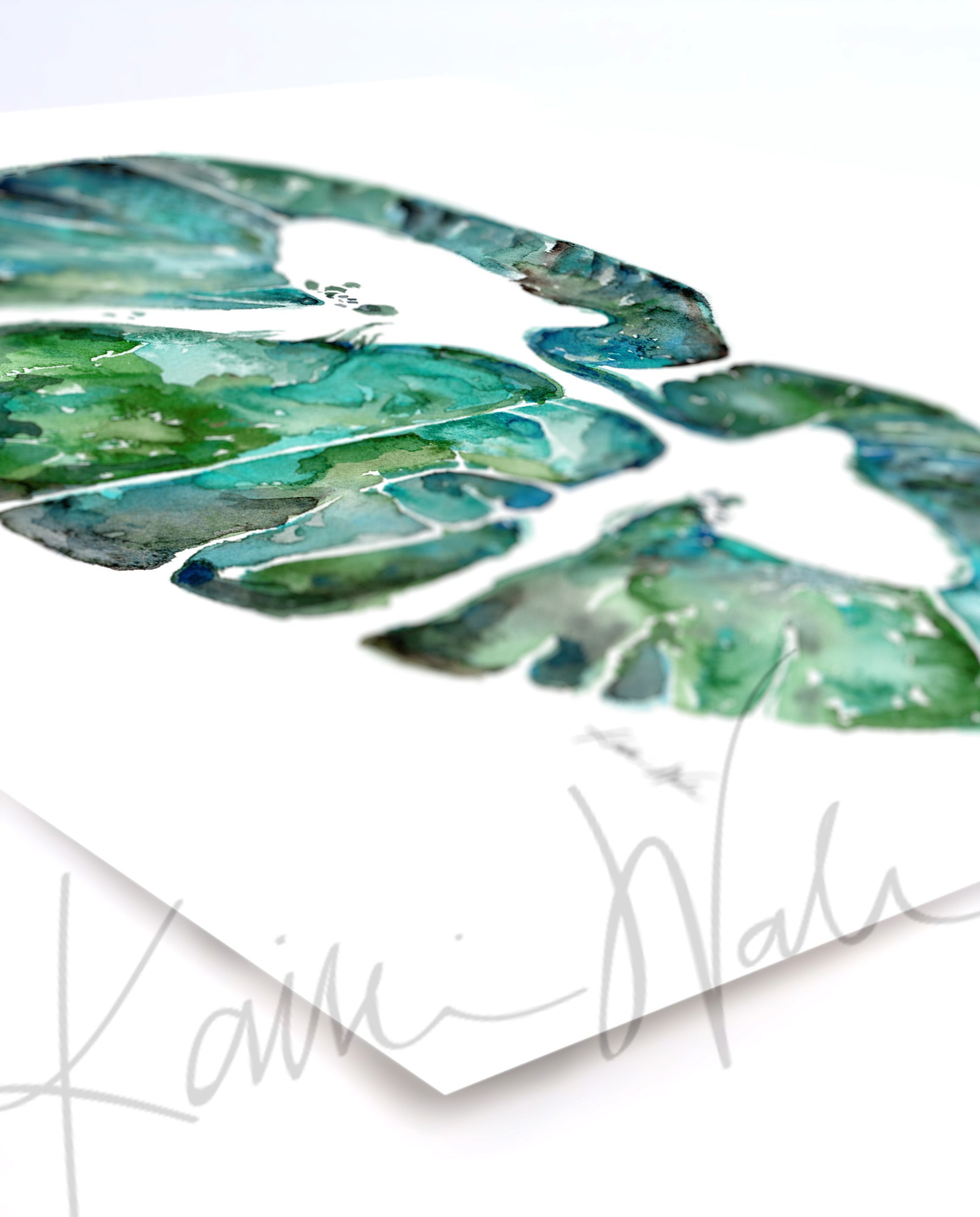 Cervical Spinal Cord Watercolor Print - Lyon Road Art