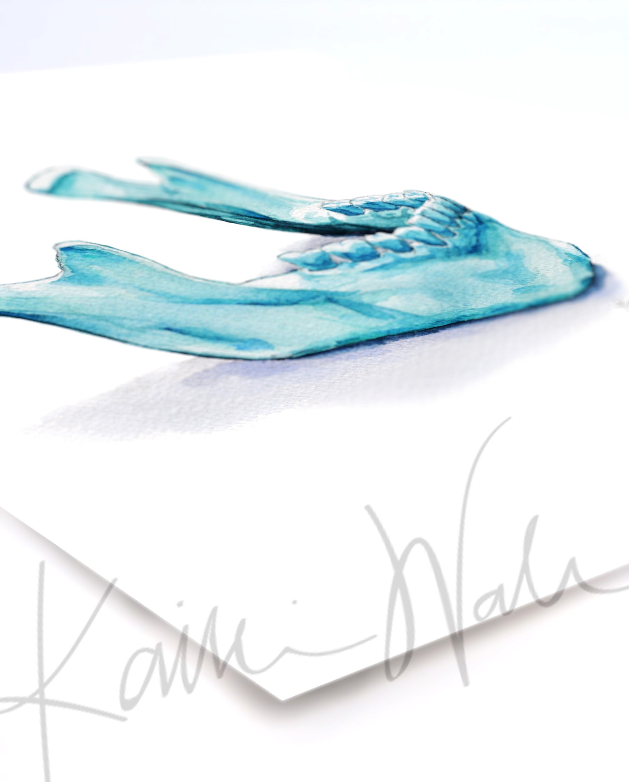 Lateral Mandible Watercolor Print - Lyon Road Art