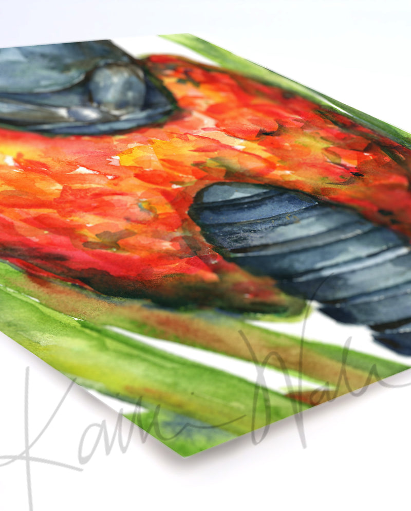 Thyroid in Red Watercolor Print - Lyon Road Art