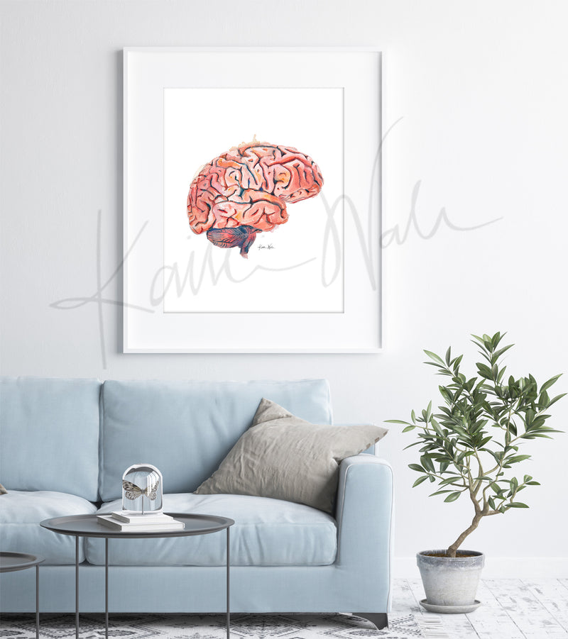 Sagittal Brain Watercolor Print - Lyon Road Art