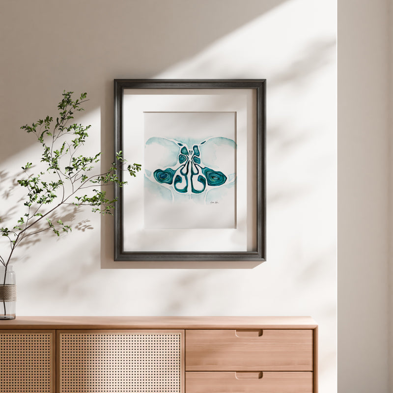 Coronal Sinuses Watercolor Print - Lyon Road Art