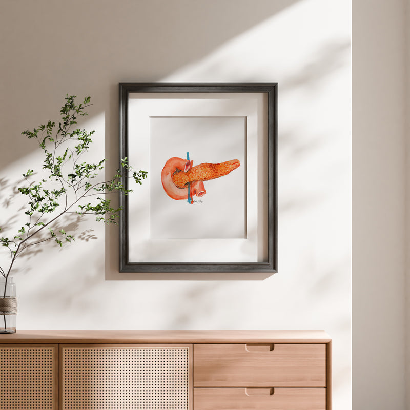 Anatomical Pancreas Watercolor Print - Lyon Road Art