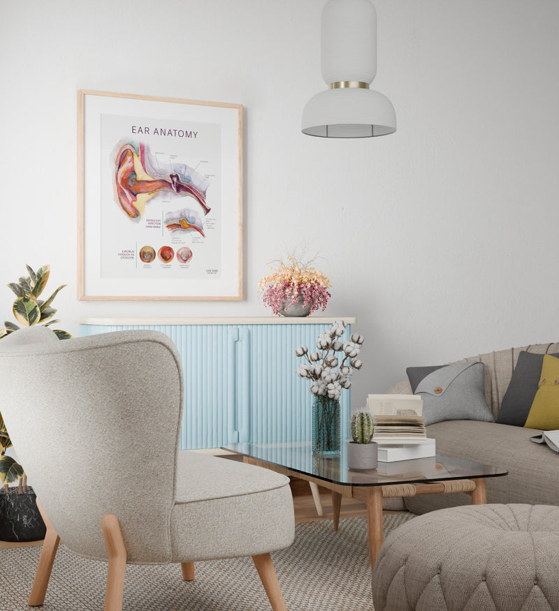 Framed poster of ear anatomy and middle ear infection on a wall in a doctor's office clinic.