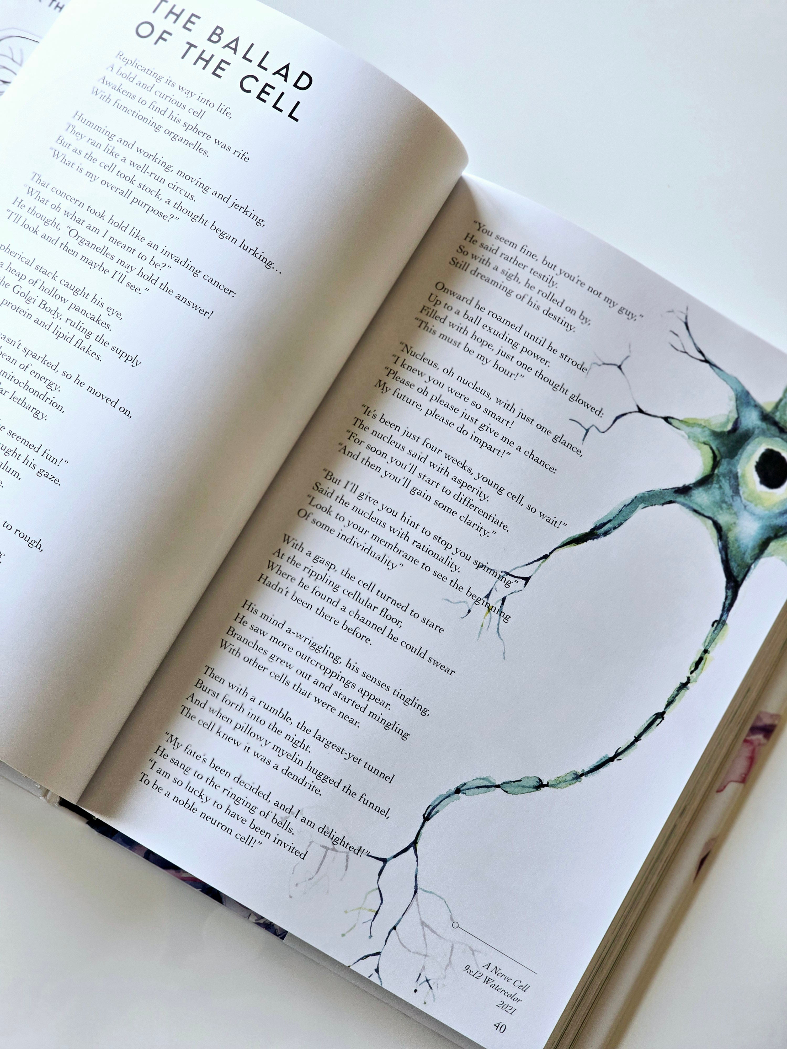 Anatomy is Beautiful: A Collection of Anatomical Art & Poetry Book - Lyon Road Art