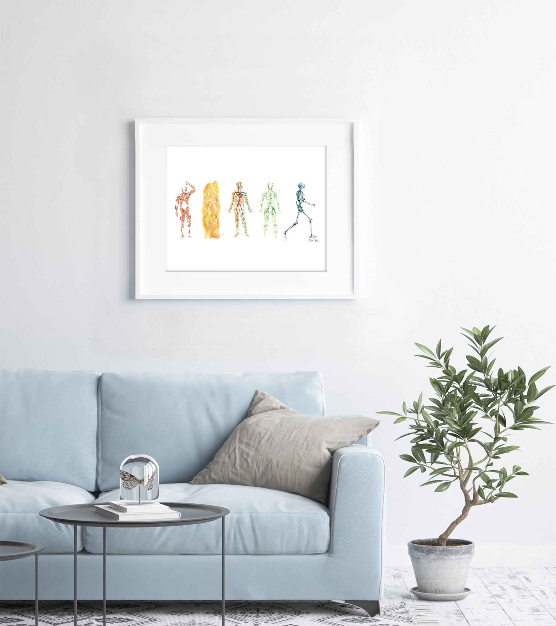 The Five Body Systems Watercolor Print - Lyon Road Art