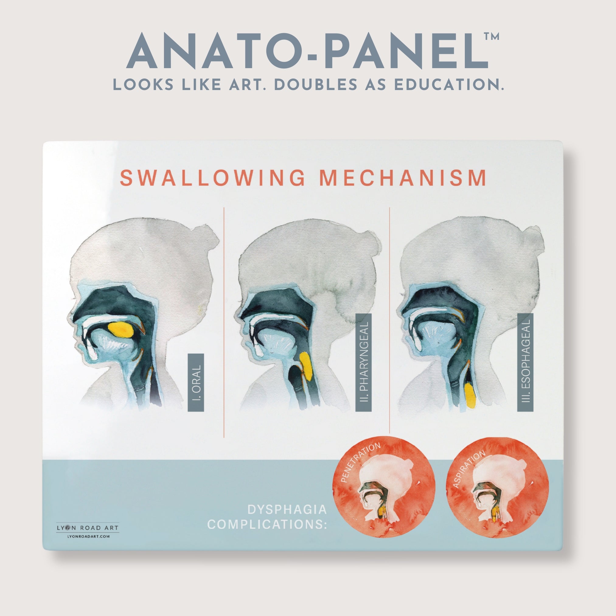 Swallowing Mechanism ENT Speech Diagram