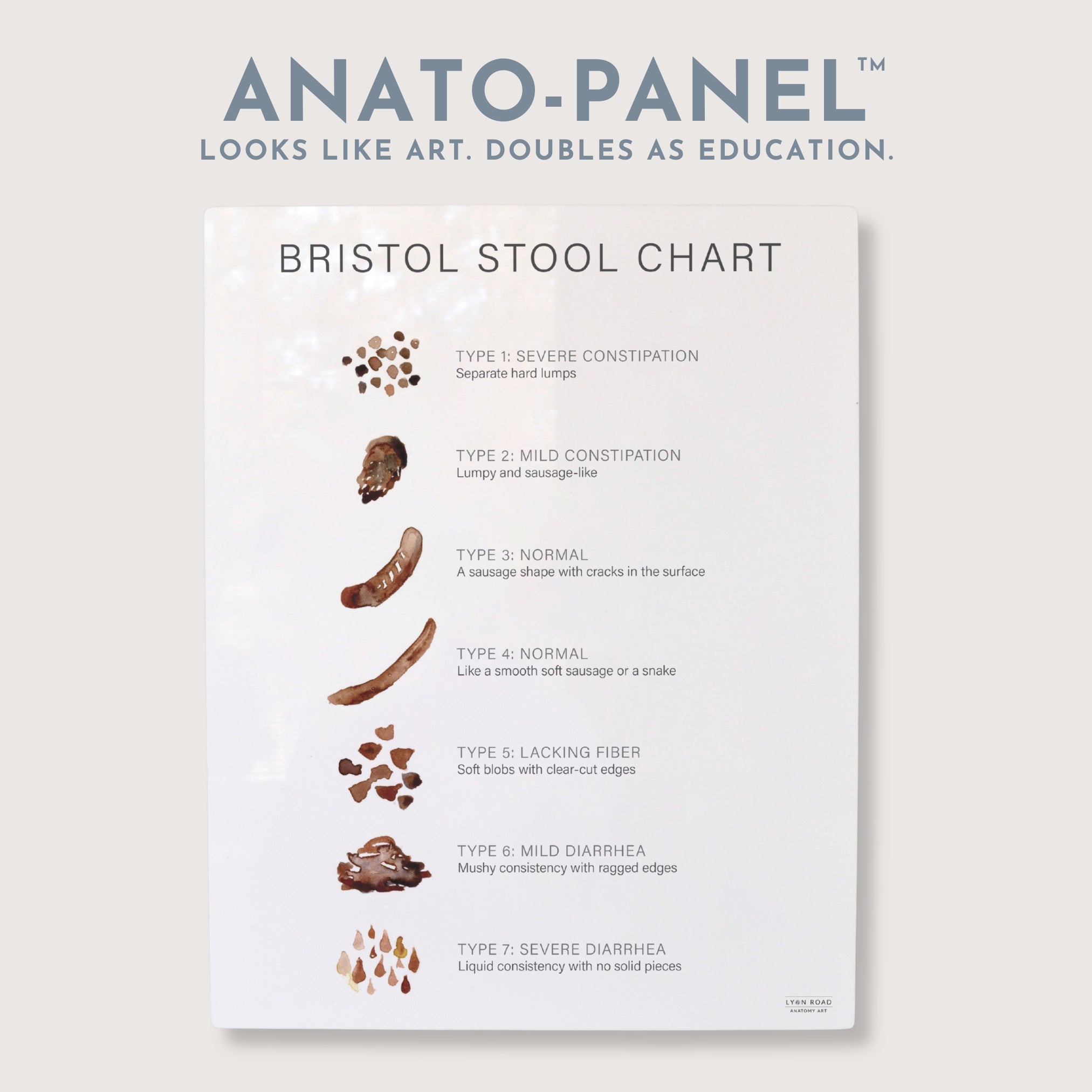 Bristol Stool Chart Gastroenterology Diagram