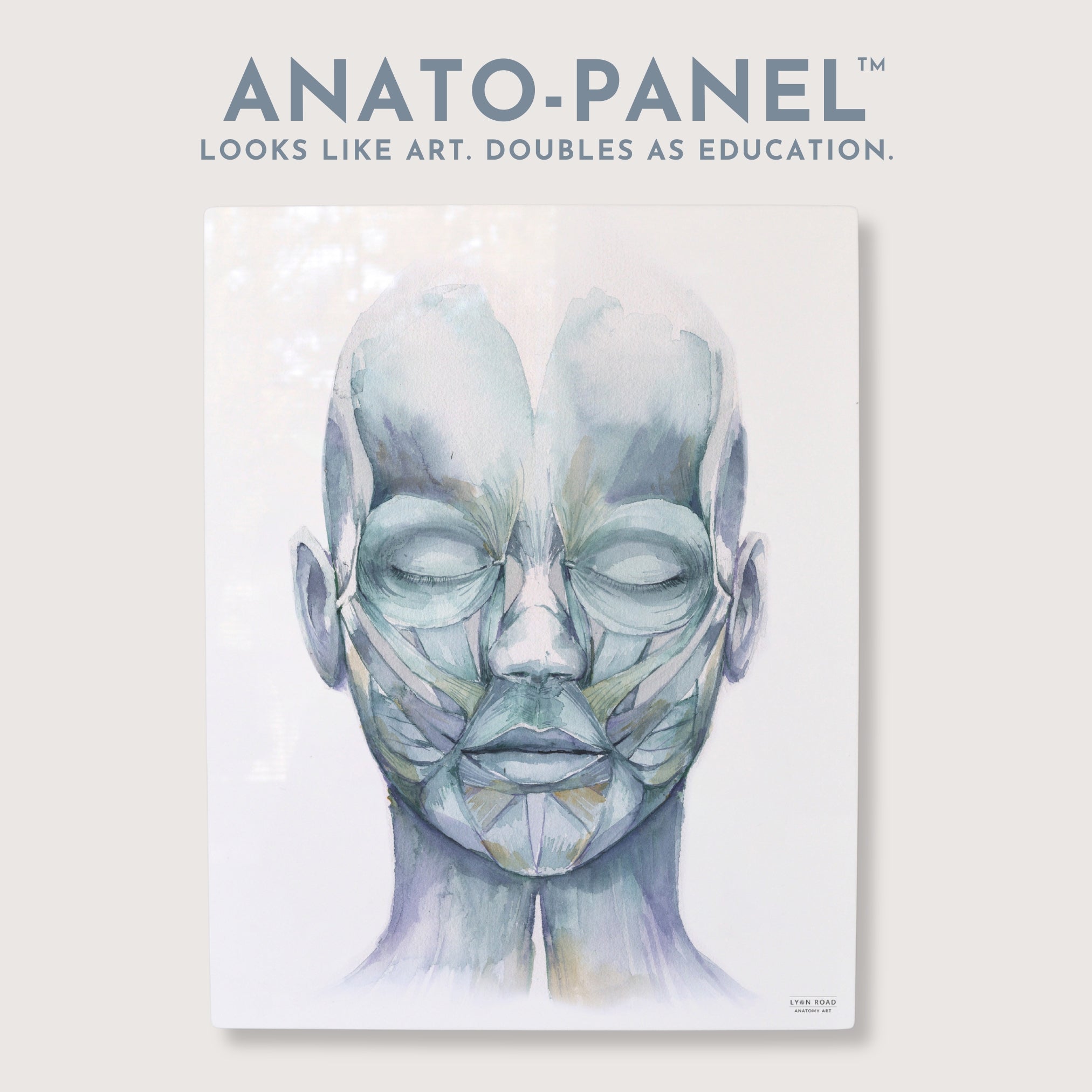 Muscles of Facial Expression Medspa Diagram