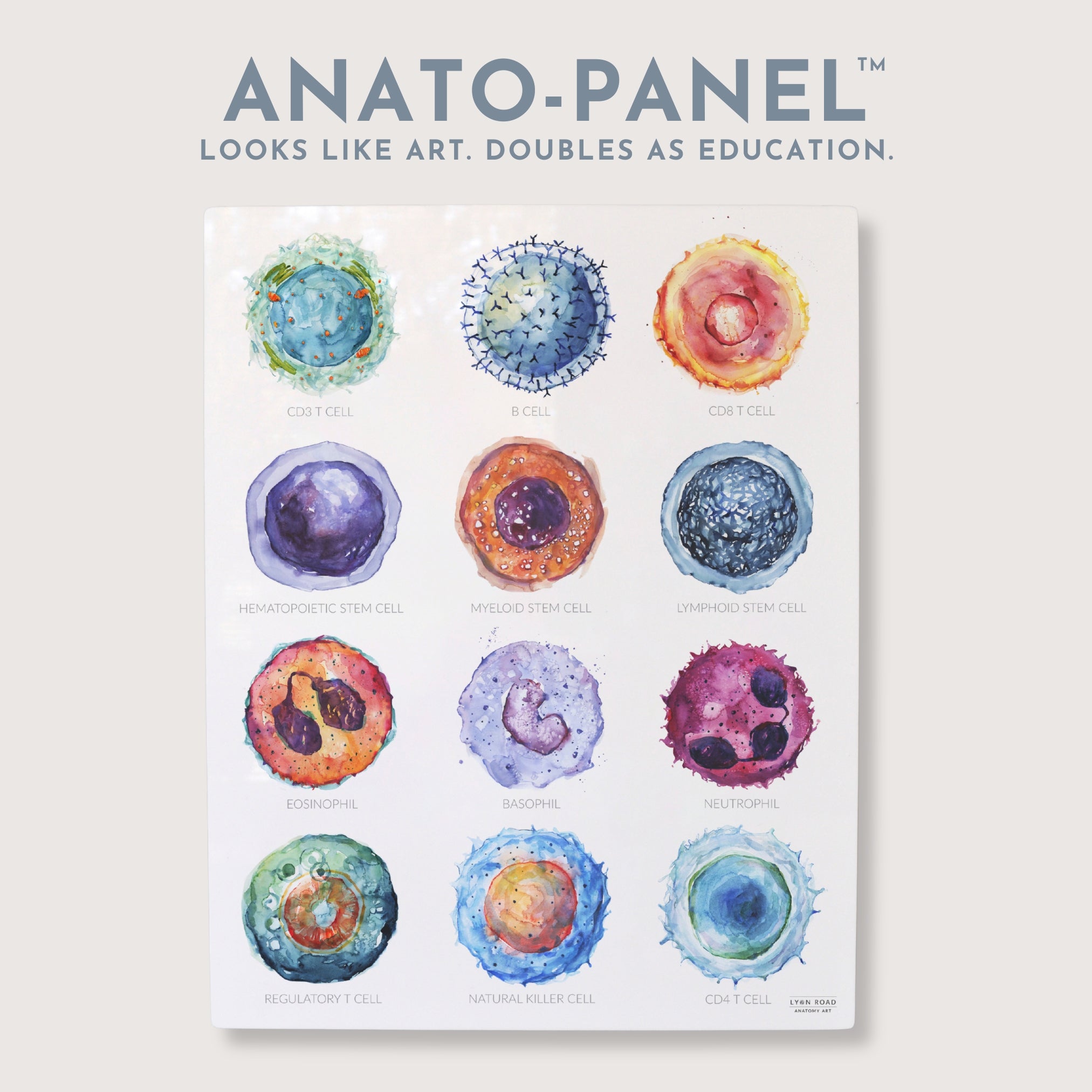 White Blood Cells Microbiology Poster