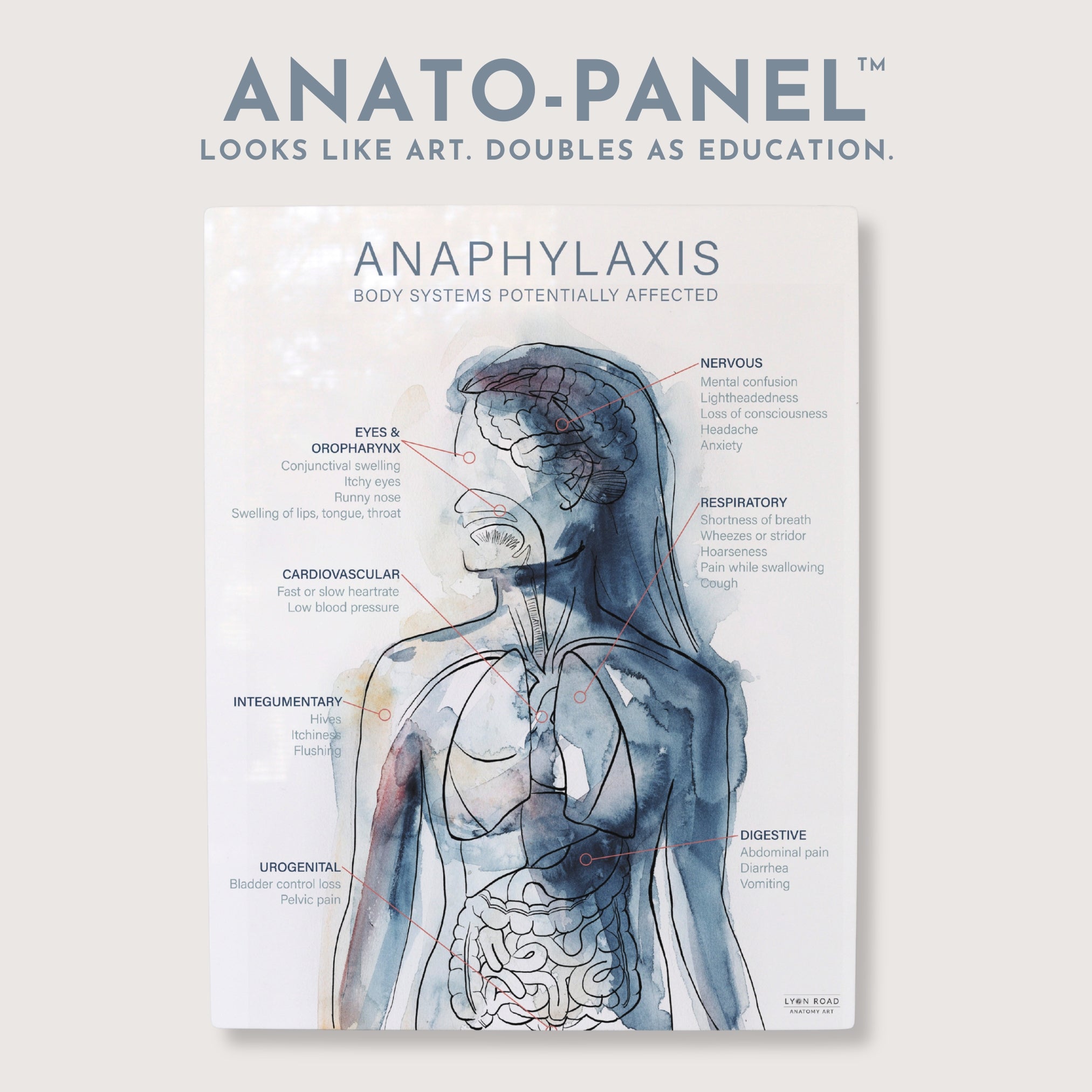 Anaphylaxis Allergy Medical Diagram