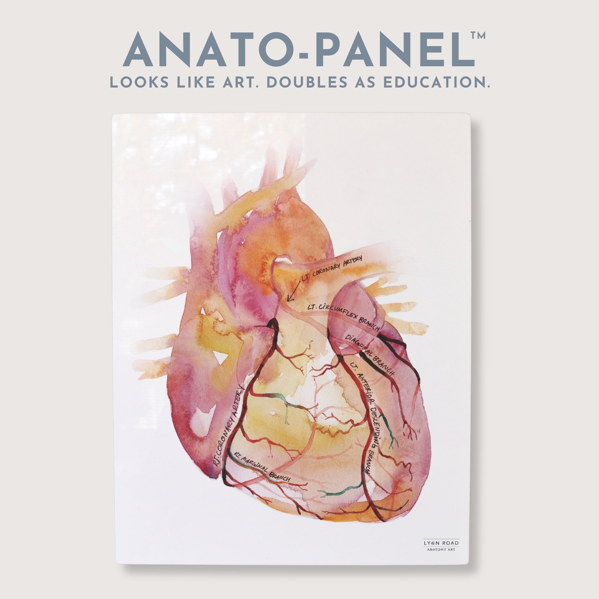 Coronary Arteries Heart Diagram