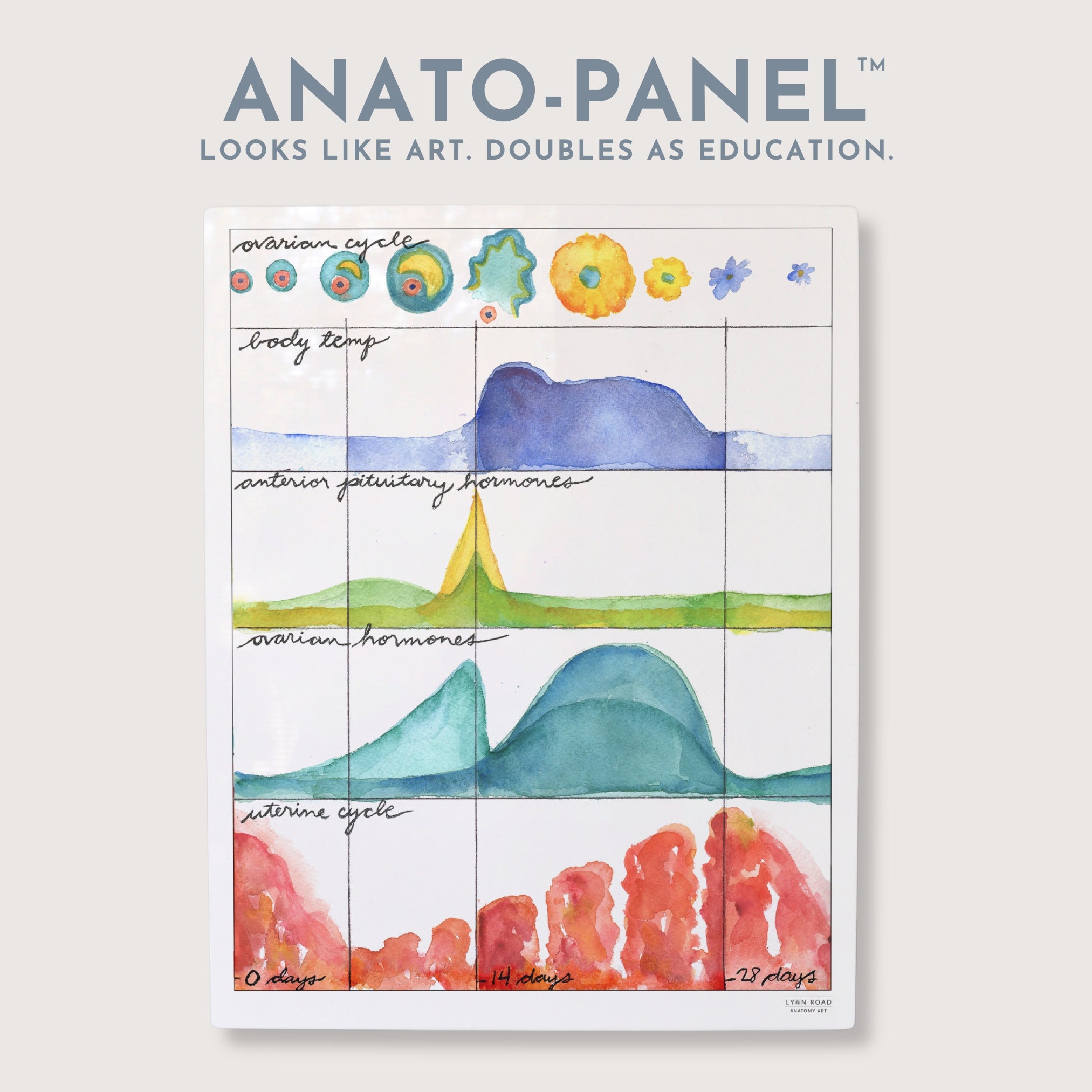 Menses Cycle Watercolor Chart
