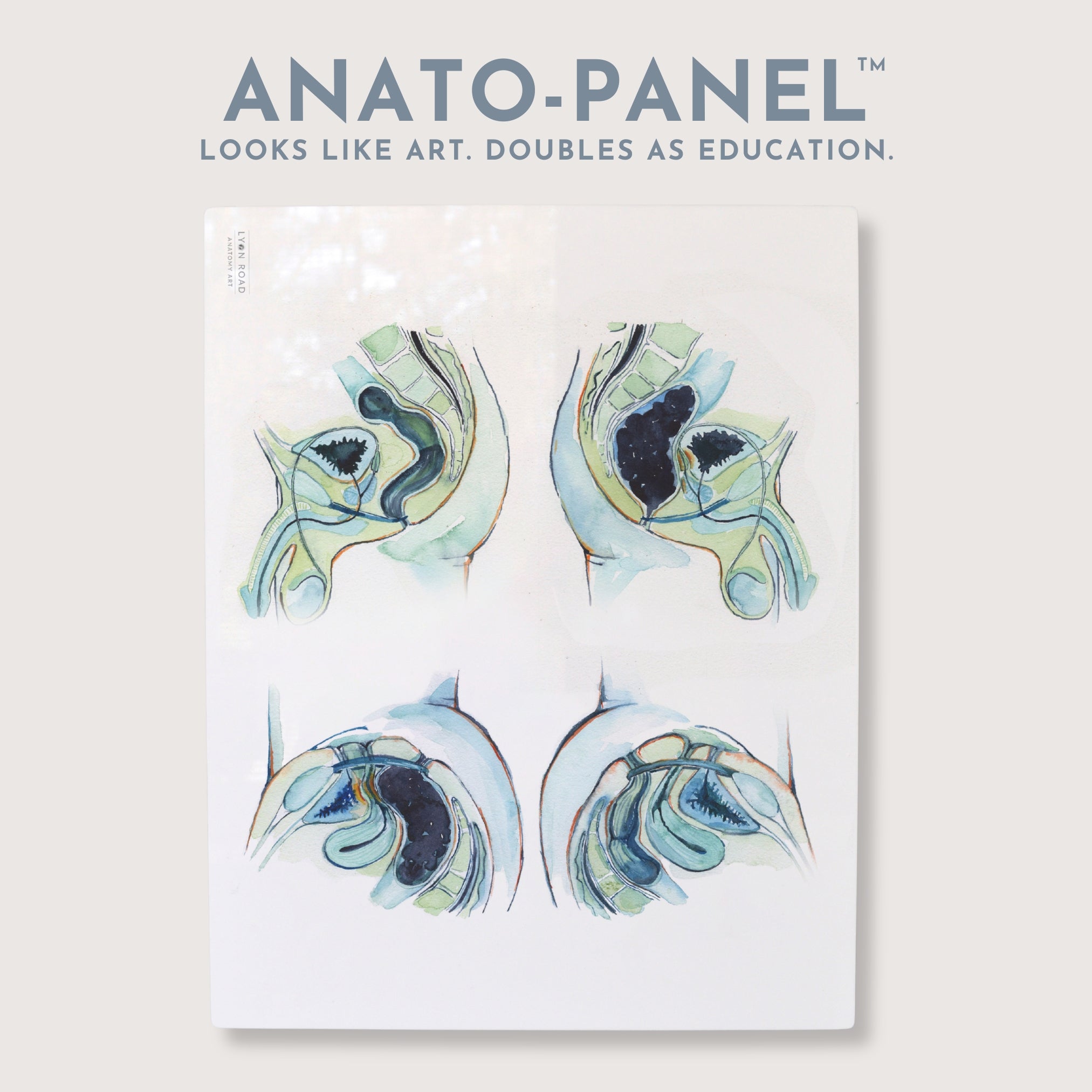 Anatomy of Constipation Gastrointestinal Diagram – Lyon Road Art