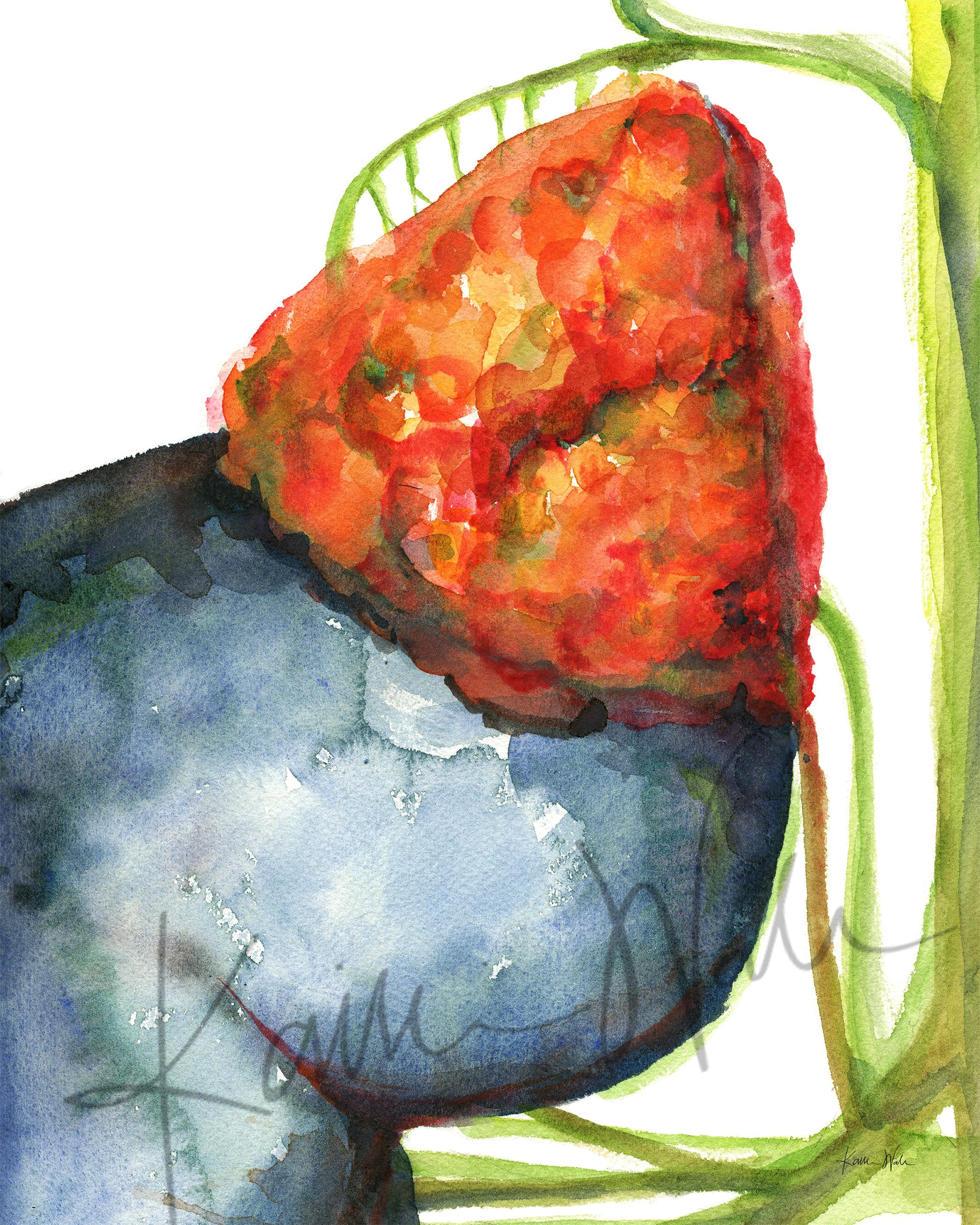 Adrenal Gland in Red Watercolor Print - Lyon Road Art