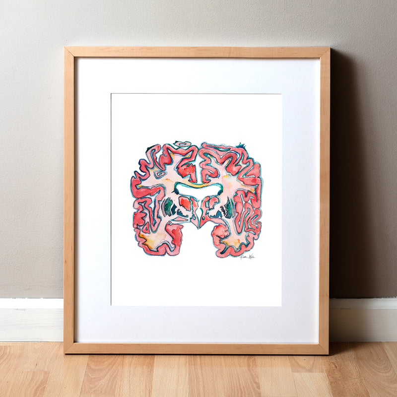 Basal Ganglia Watercolor Print - Lyon Road Art