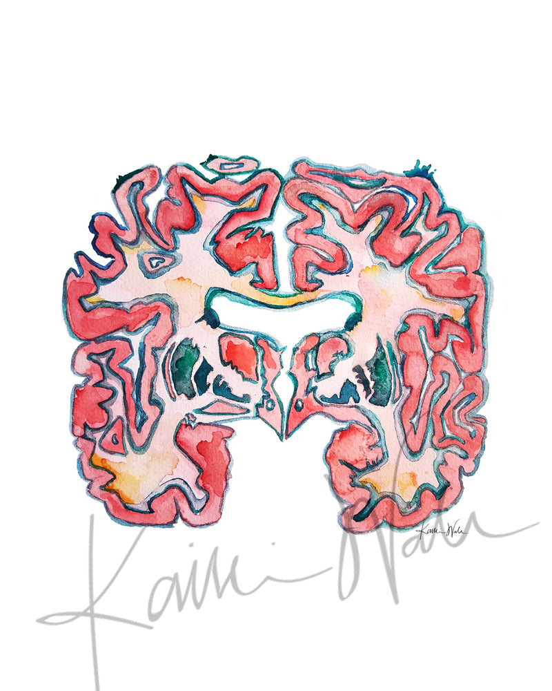 Basal Ganglia Watercolor Print - Lyon Road Art