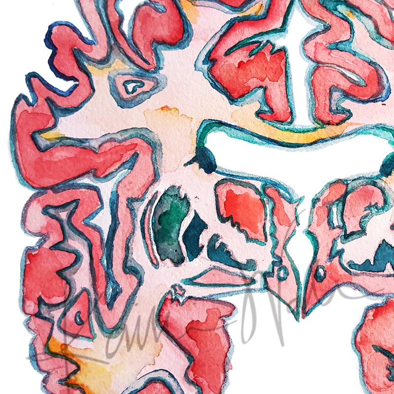 Basal Ganglia Watercolor Print - Lyon Road Art