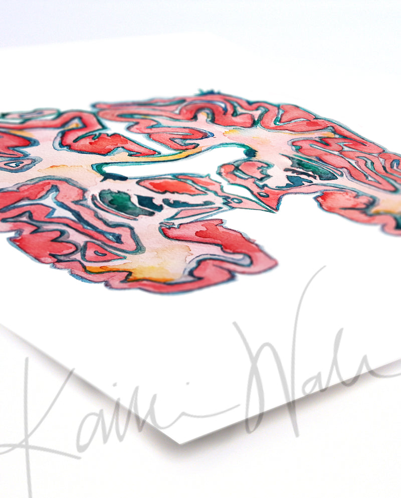 Basal Ganglia Watercolor Print - Lyon Road Art