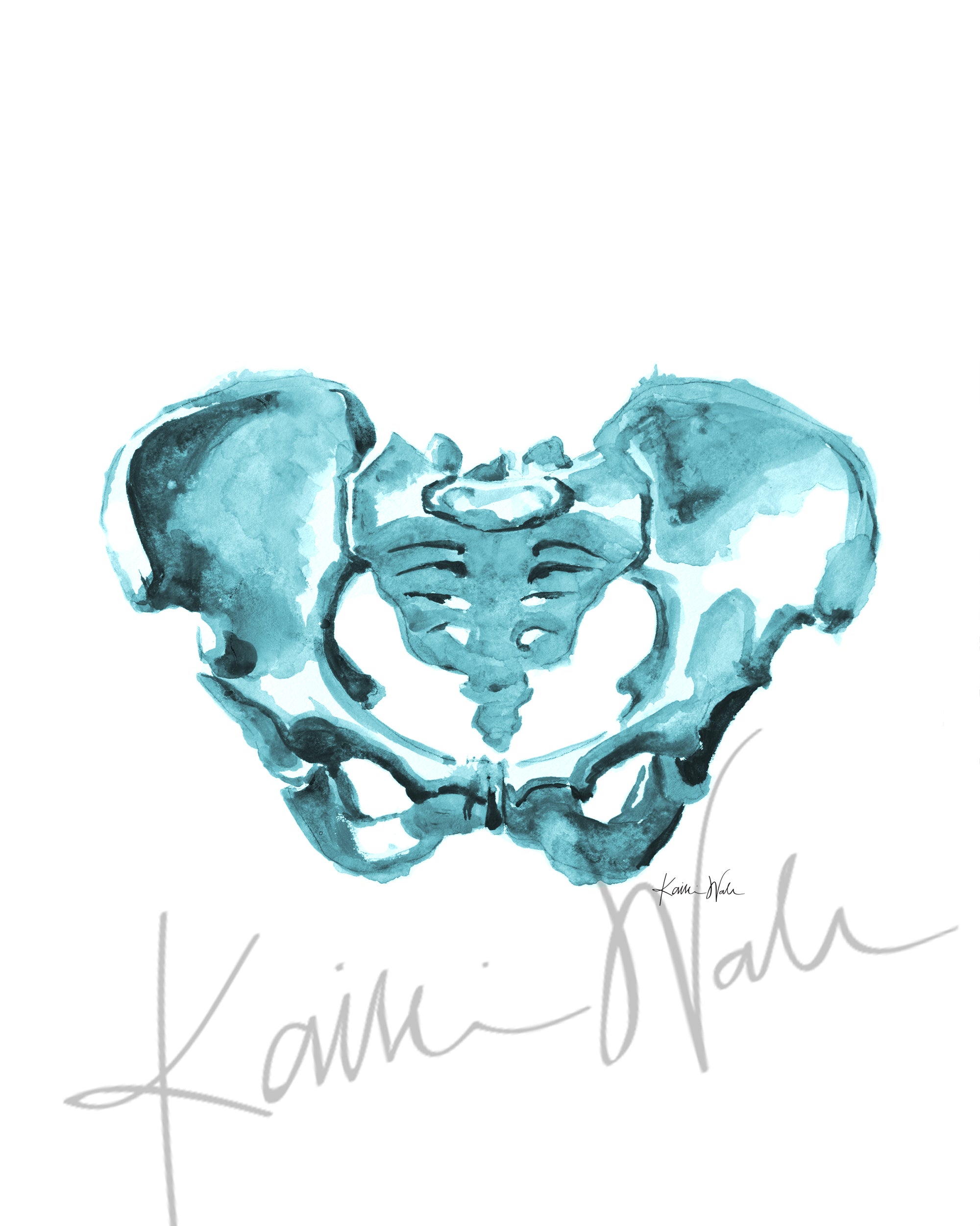 Pelvis Watercolor Print - Lyon Road Art