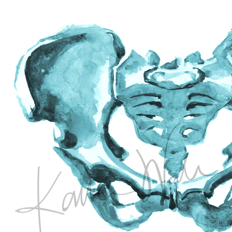 Pelvis Watercolor Print - Lyon Road Art