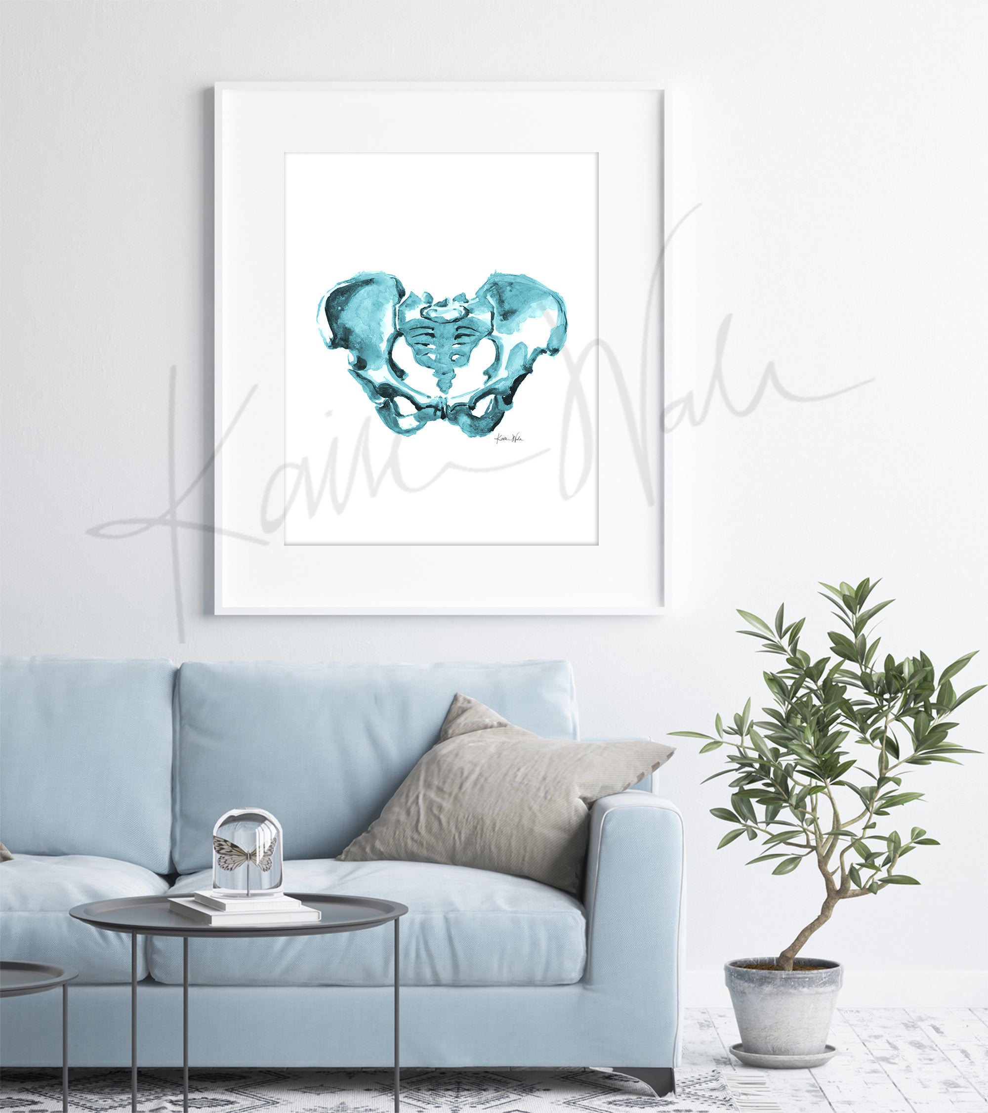 Pelvis Watercolor Print - Lyon Road Art