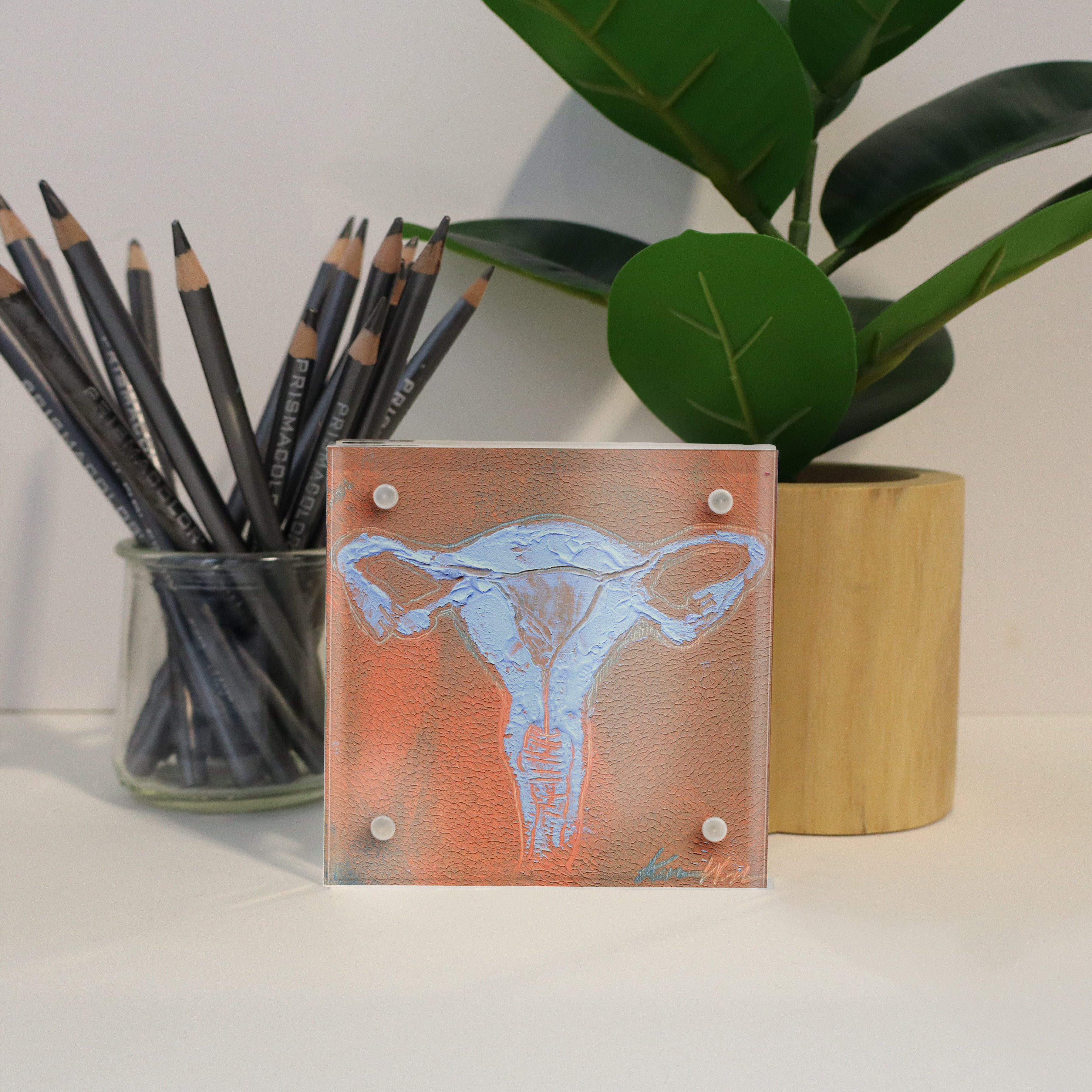 Female Anatomy Desktop Art - Acrylic Framed Mini Print - Lyon Road Art