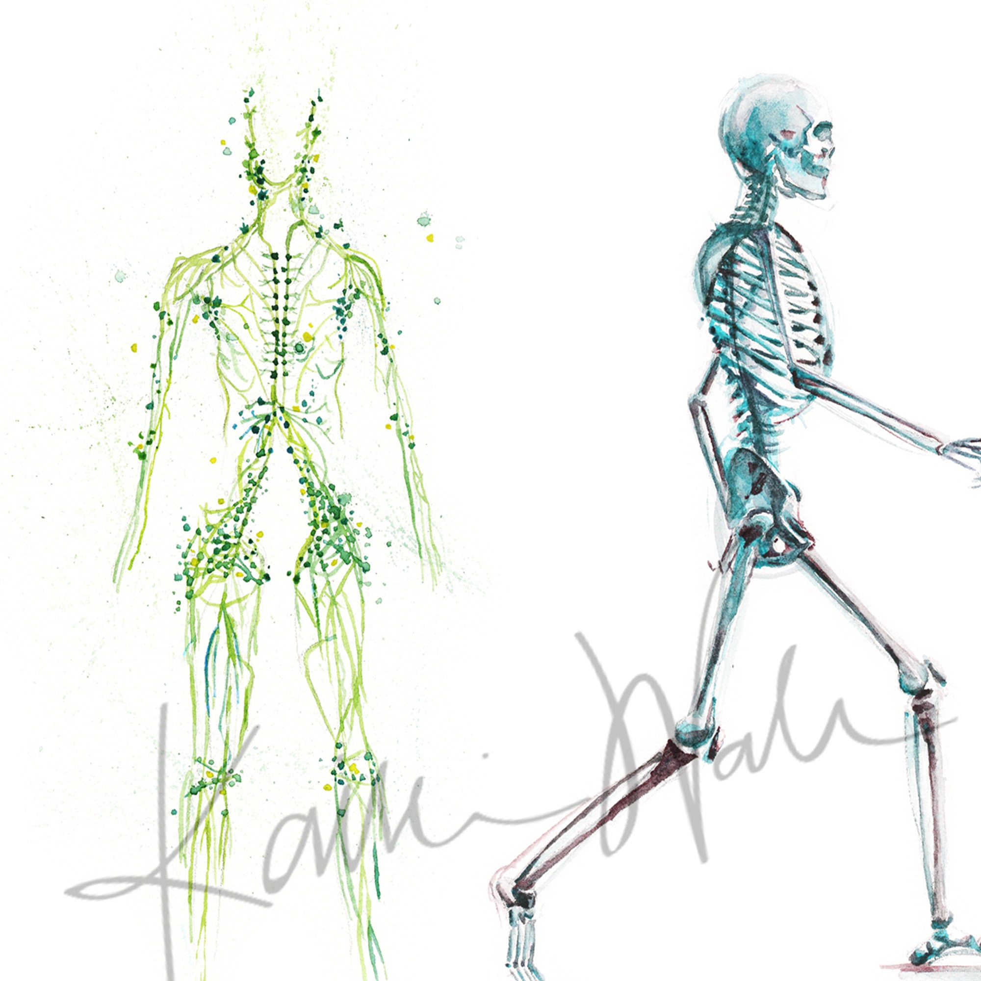 The Five Body Systems Watercolor Print - Lyon Road Art