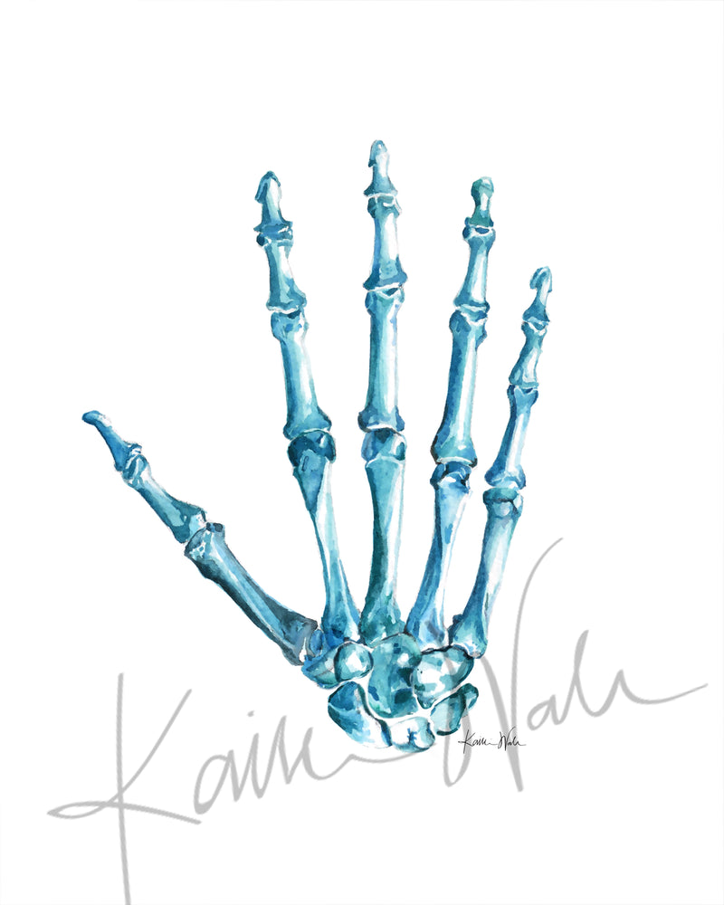 Bones of the Hand Watercolor Print - Lyon Road Art
