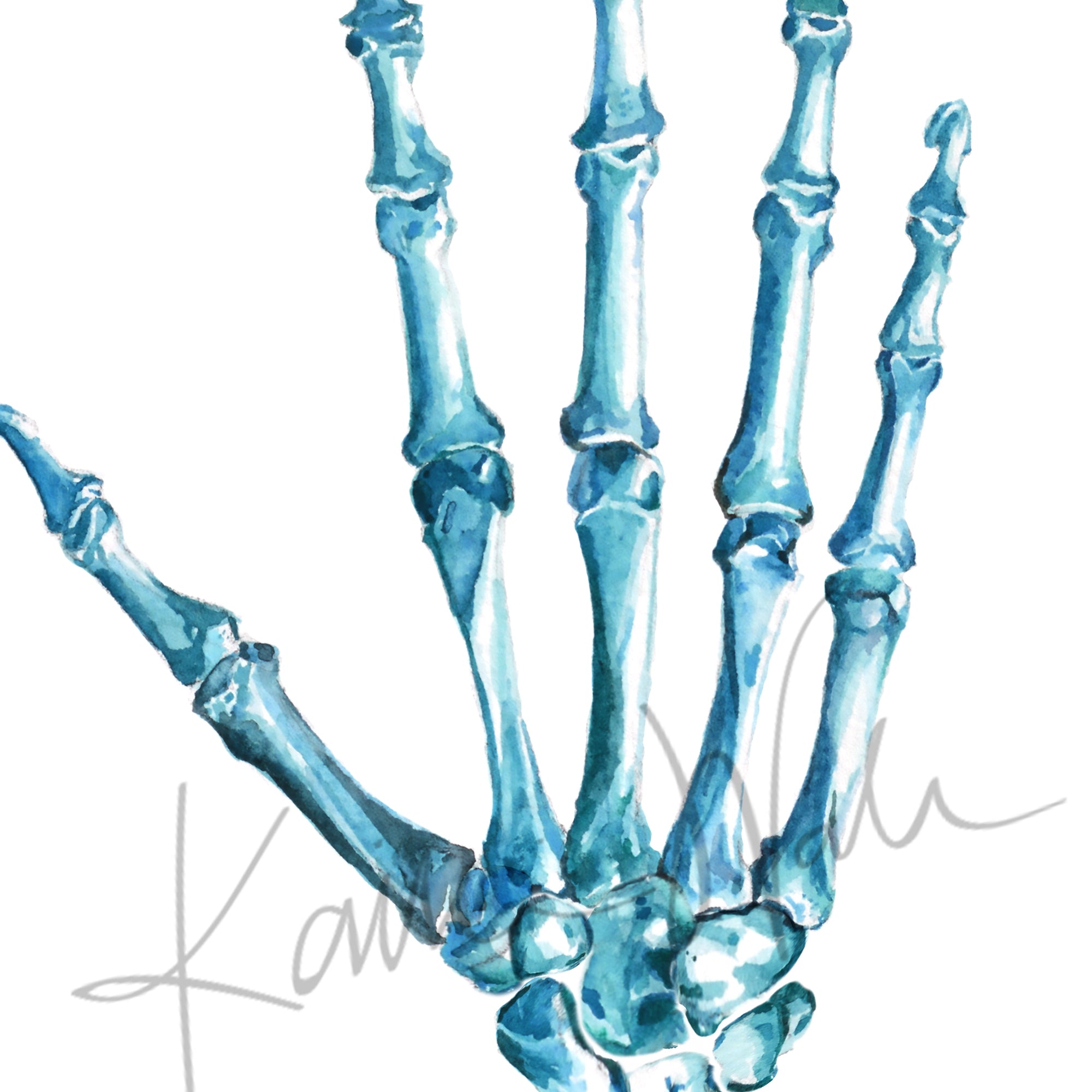 Bones of the Hand Watercolor Print - Lyon Road Art