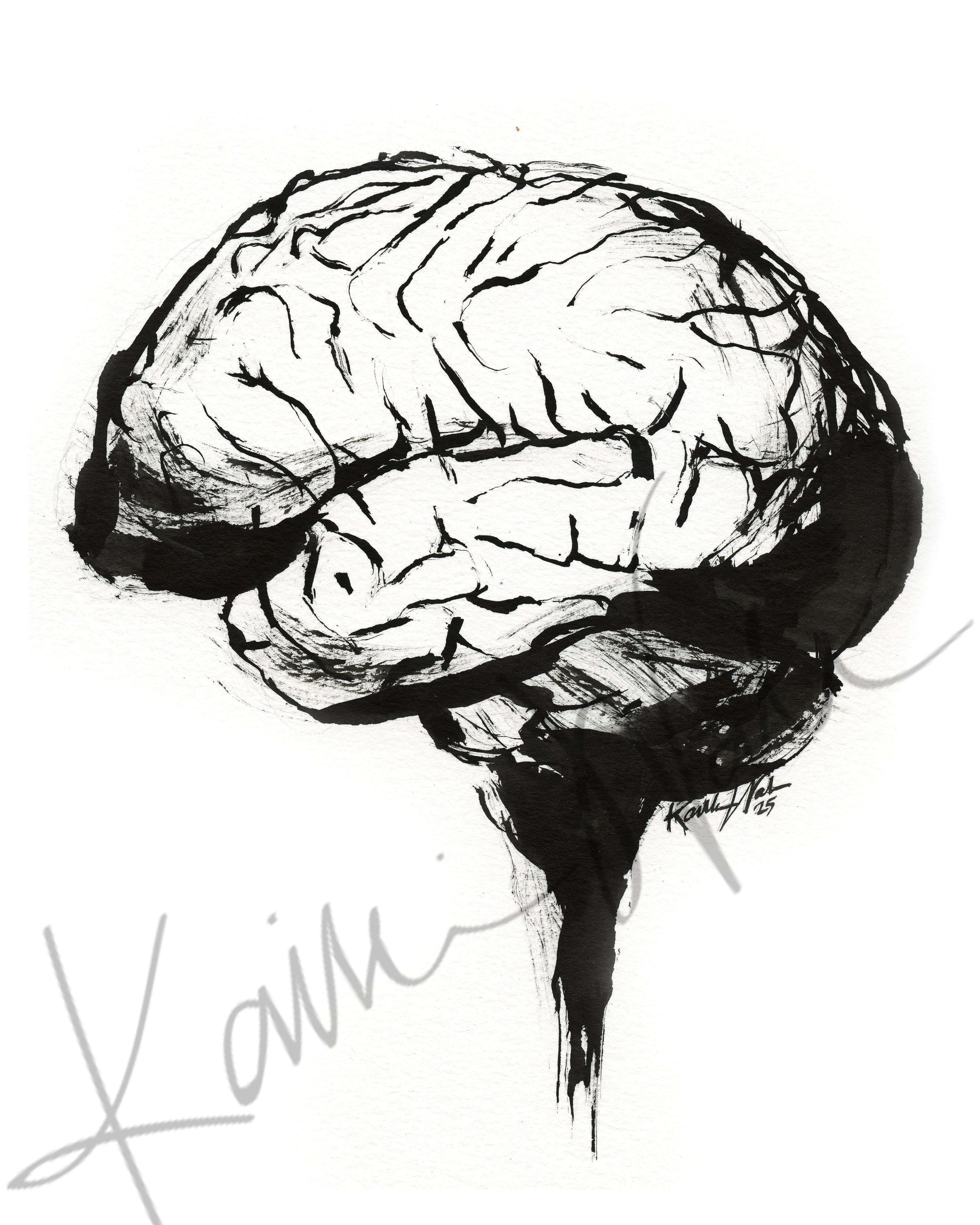 Heart, Brain, and Lungs Ink Set of Three DIGITAL DOWNLOAD