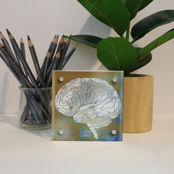 Neuroanatomy Desktop Anatomy Art - Acrylic Framed Mini Print - Lyon Road Art