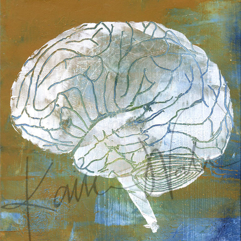 Neuroanatomy Desktop Anatomy Art - Acrylic Framed Mini Print - Lyon Road Art