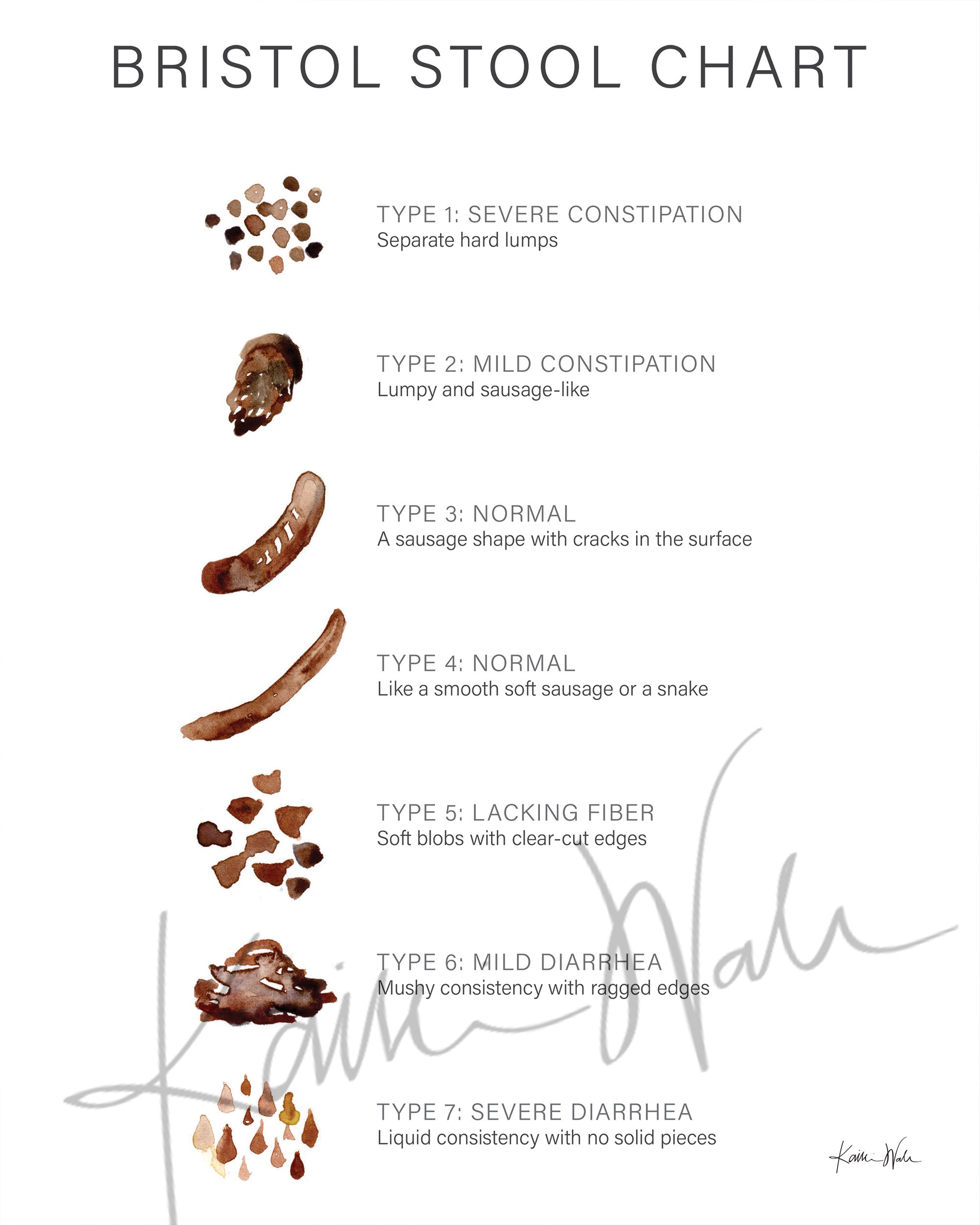 Bristol Stool Chart Gastroenterology Diagram