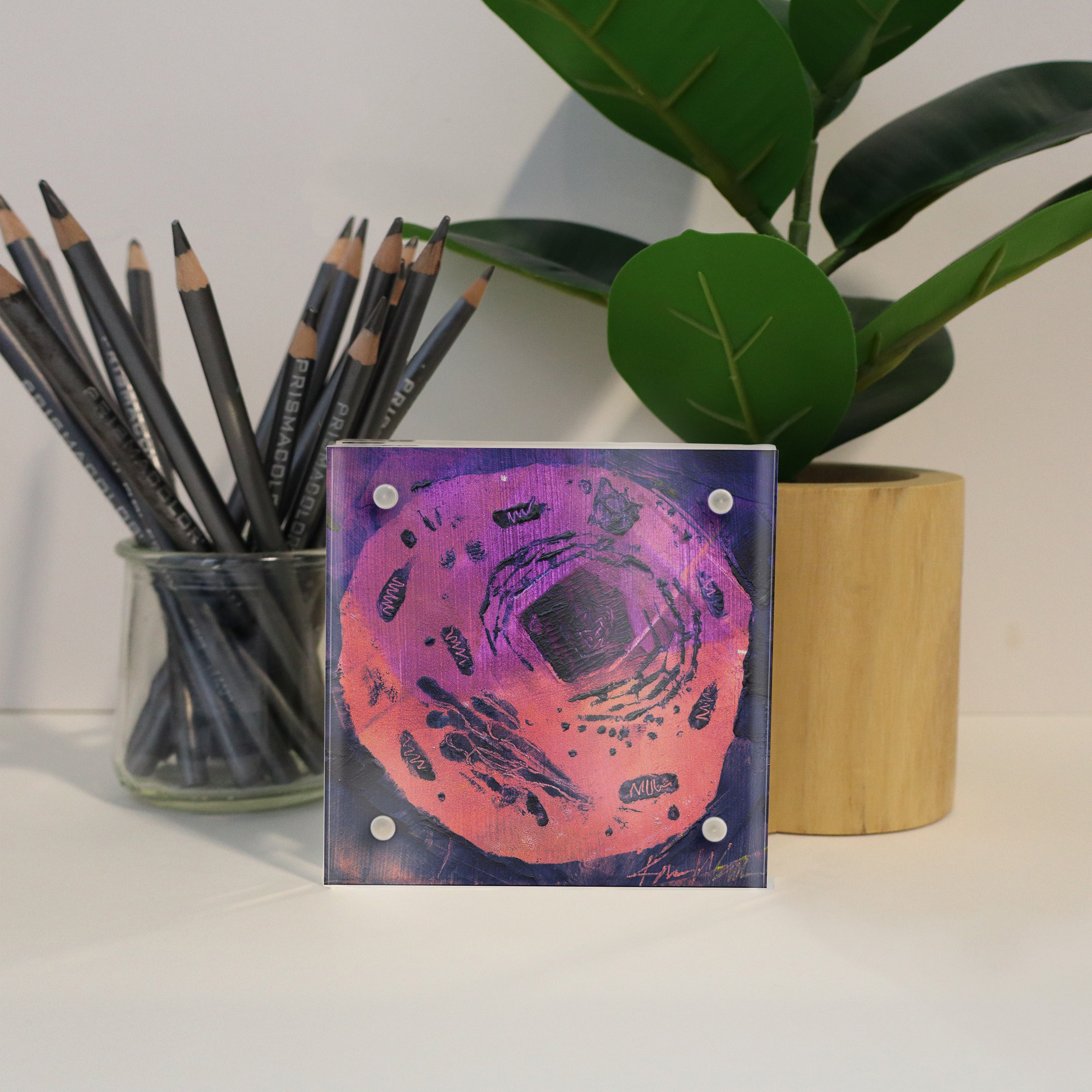 Microbiology Desktop Anatomy Art - Acrylic Framed Mini Print - Lyon Road Art