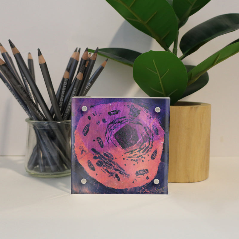 Microbiology Desktop Anatomy Art - Acrylic Framed Mini Print - Lyon Road Art