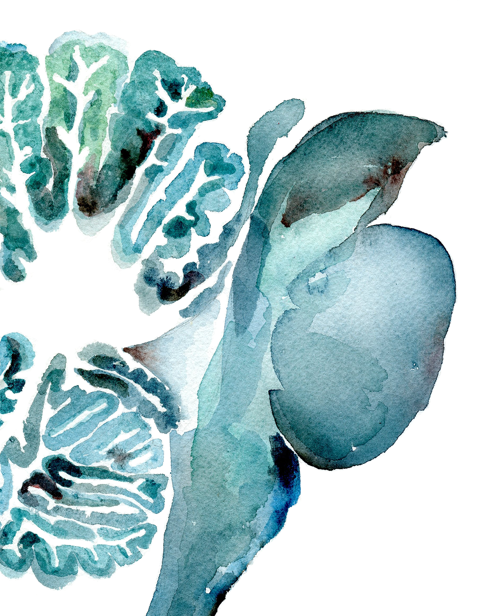 Cerebellum in Turquoise Watercolor Print - Lyon Road Art
