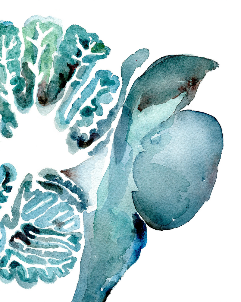 Cerebellum in Turquoise Watercolor Print - Lyon Road Art