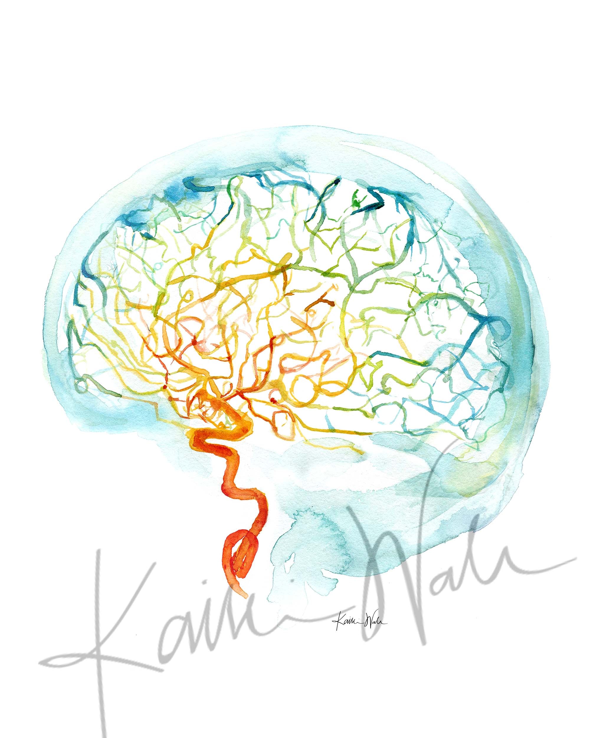 Rainbow Cerebral Angiography Watercolor DIGITAL DOWNLOAD