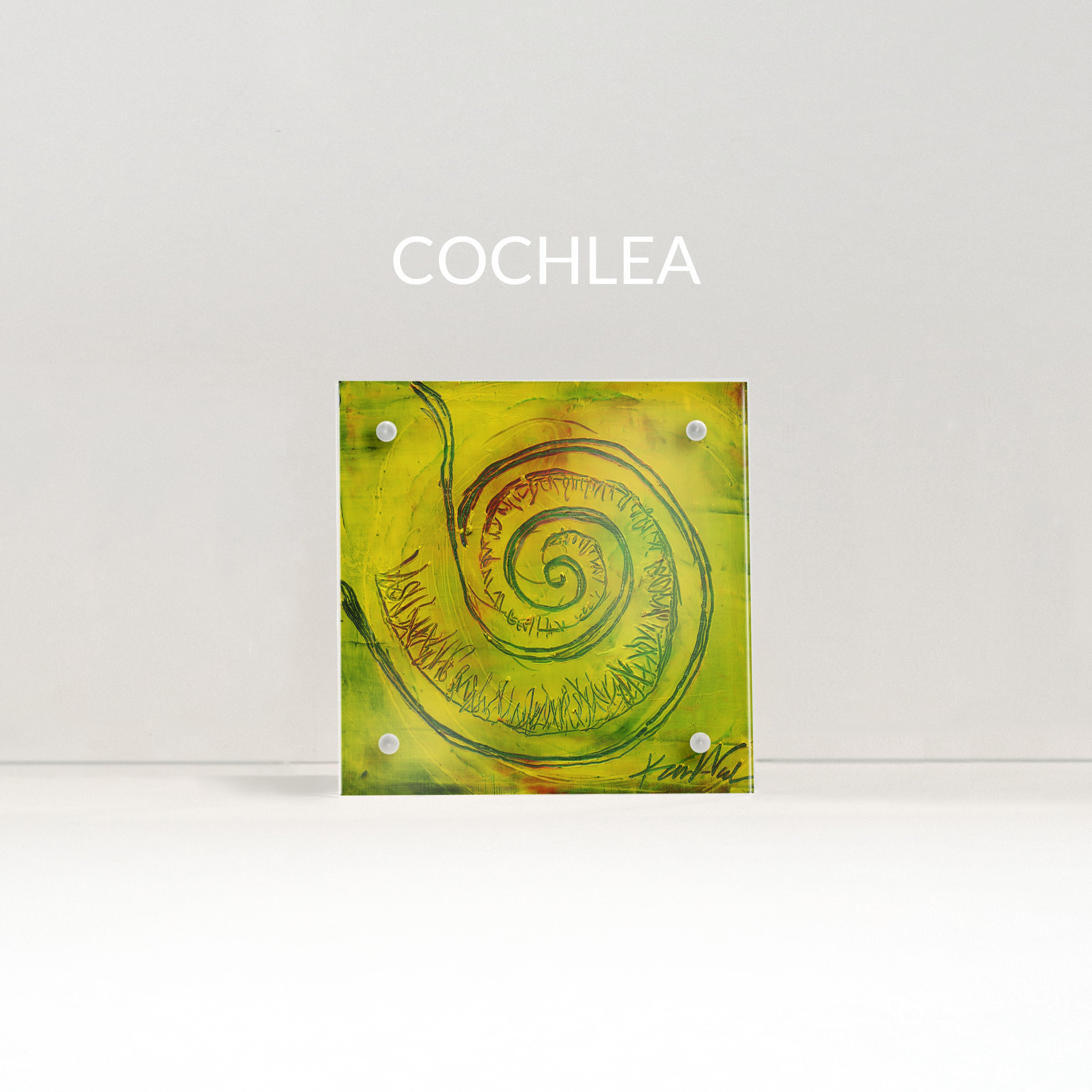 Speech Path / Ent Desktop Anatomy Art - Acrylic Framed Mini Print - Lyon Road Art