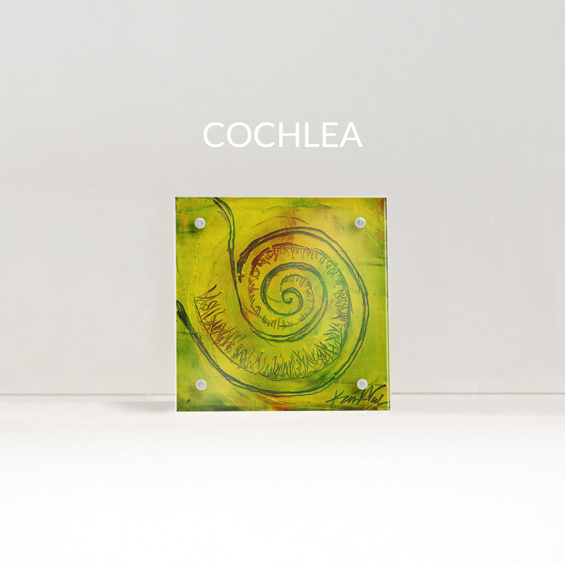 Speech Path / Ent Desktop Anatomy Art - Acrylic Framed Mini Print - Lyon Road Art