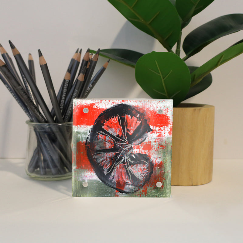 Urology Desktop Anatomy Art - Acrylic Framed Mini Print - Lyon Road Art