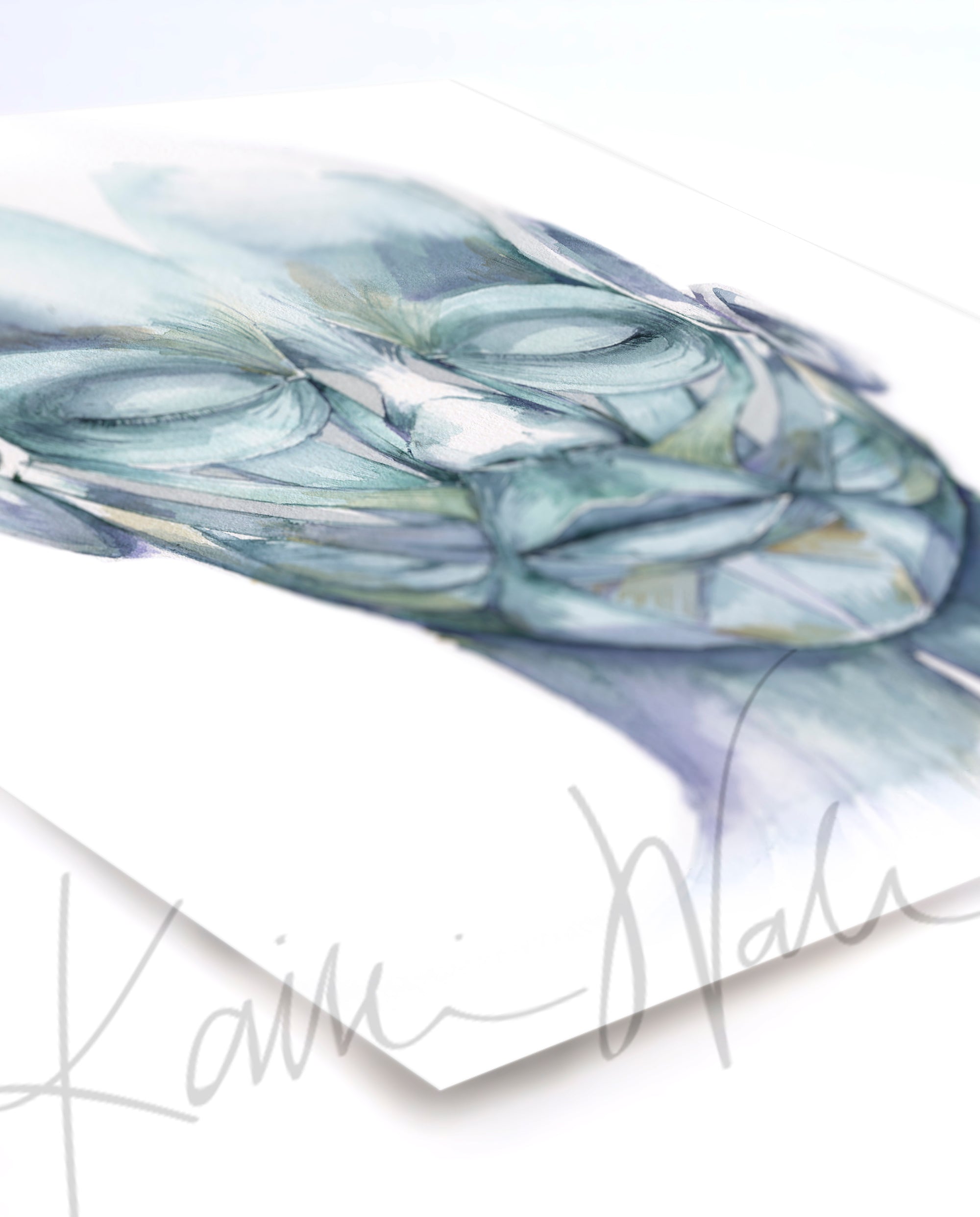 Muscles of Facial Expression Watercolor Print - Lyon Road Art